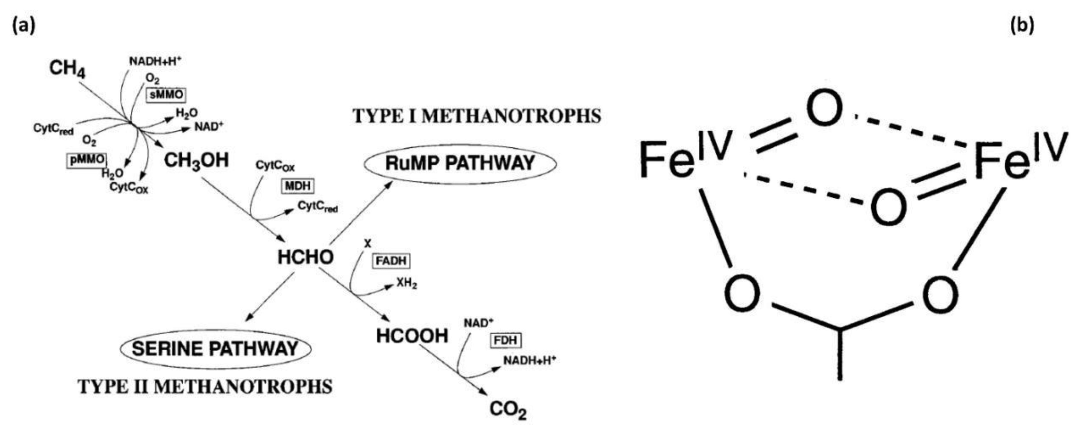 Catalysts 10 00194 g002 Catalysts 10 00194 g002