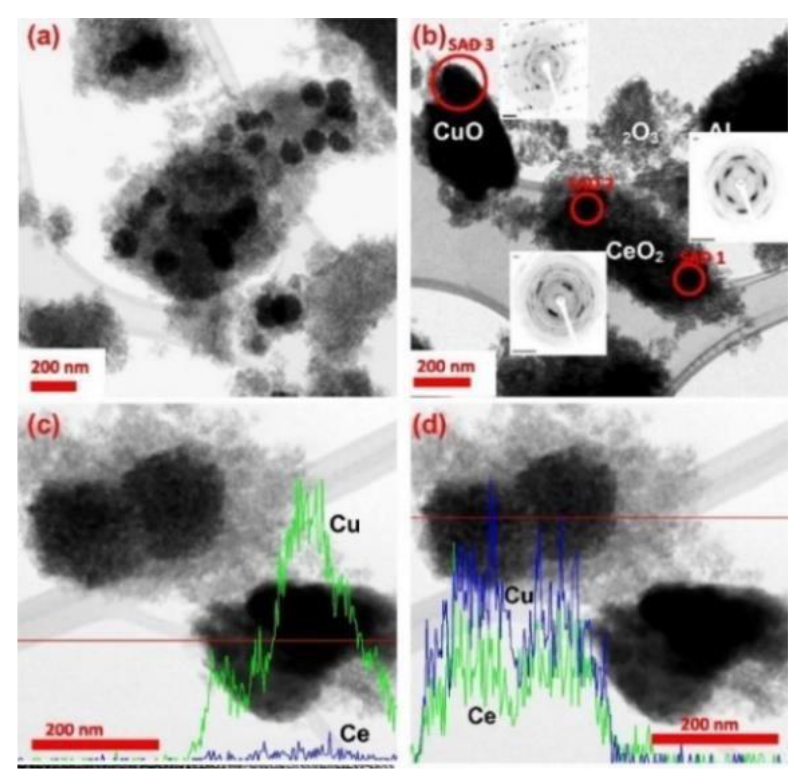 Catalysts 10 00194 g005 Catalysts 10 00194 g005