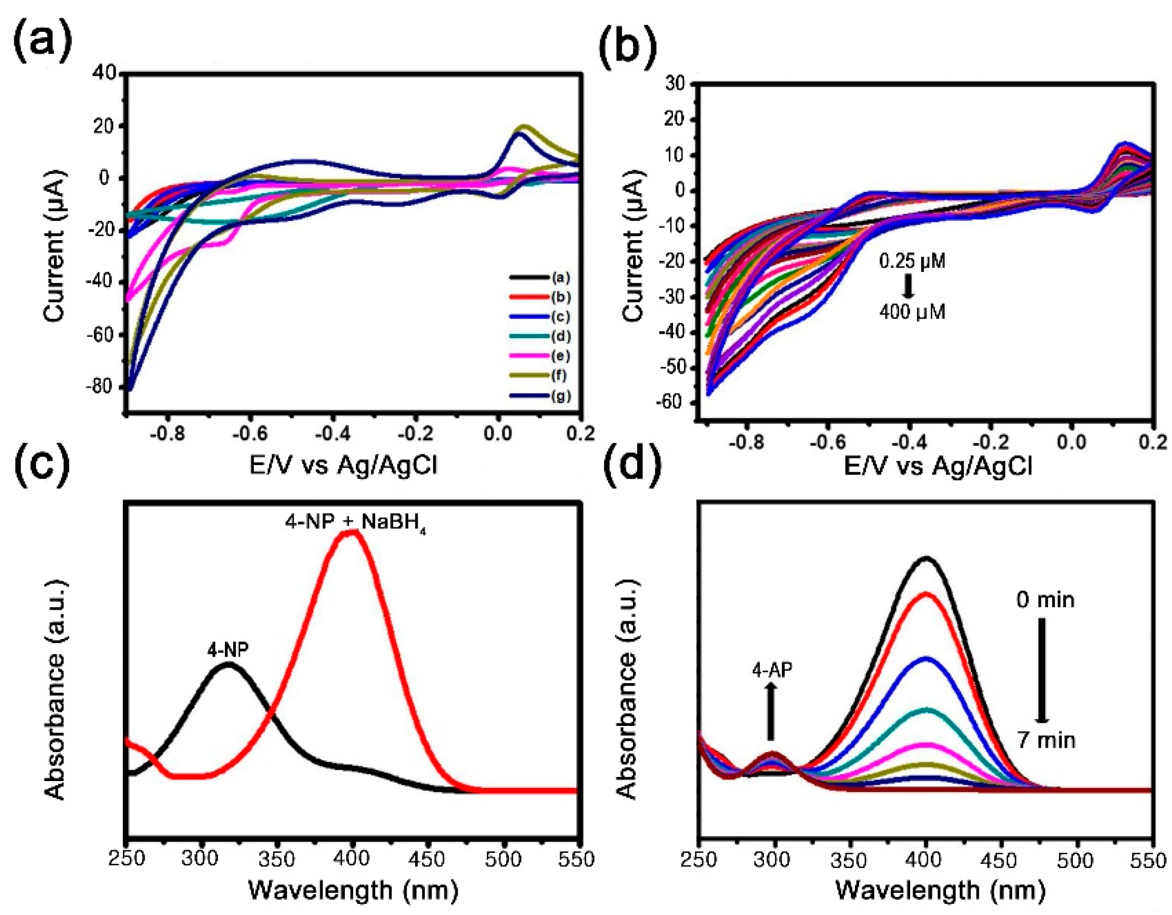 Catalysts 10 00195 g006