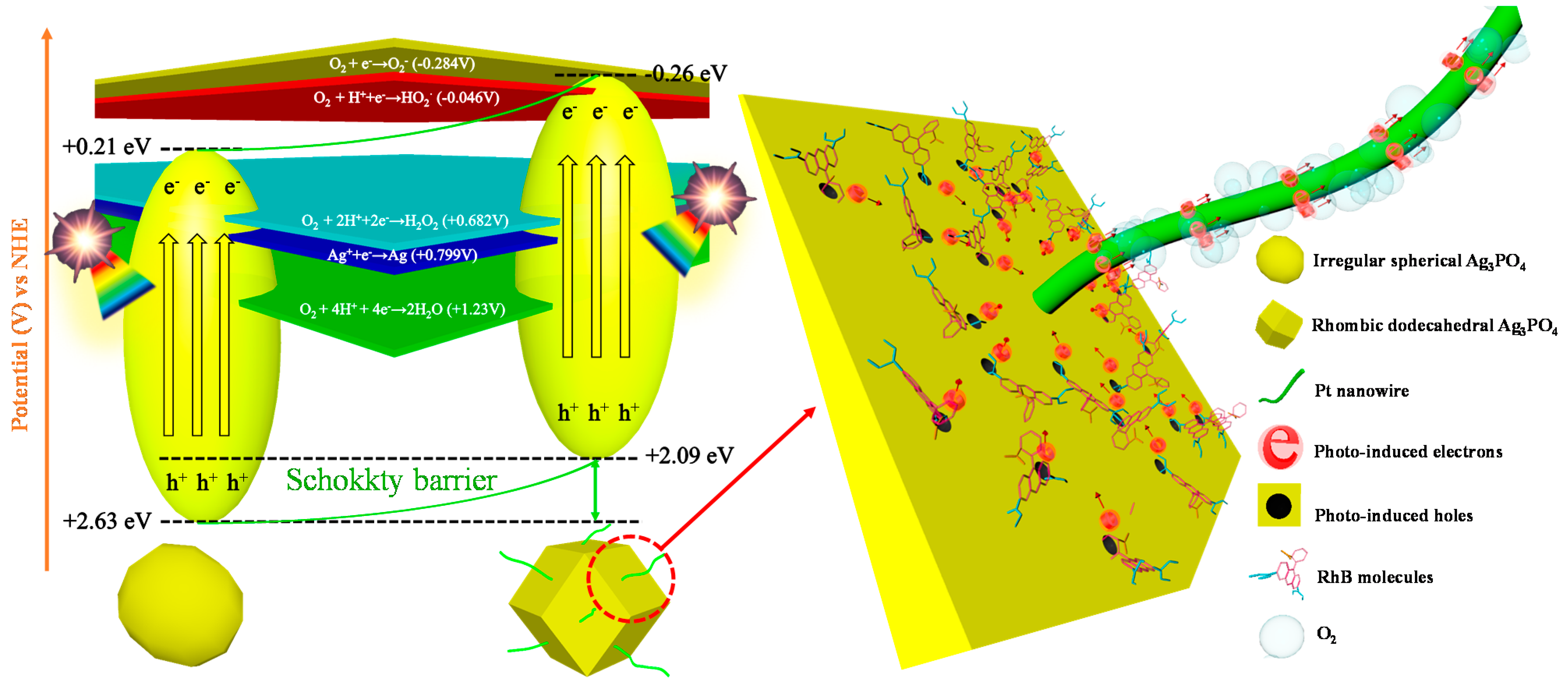 Catalysts 10 00206 g007