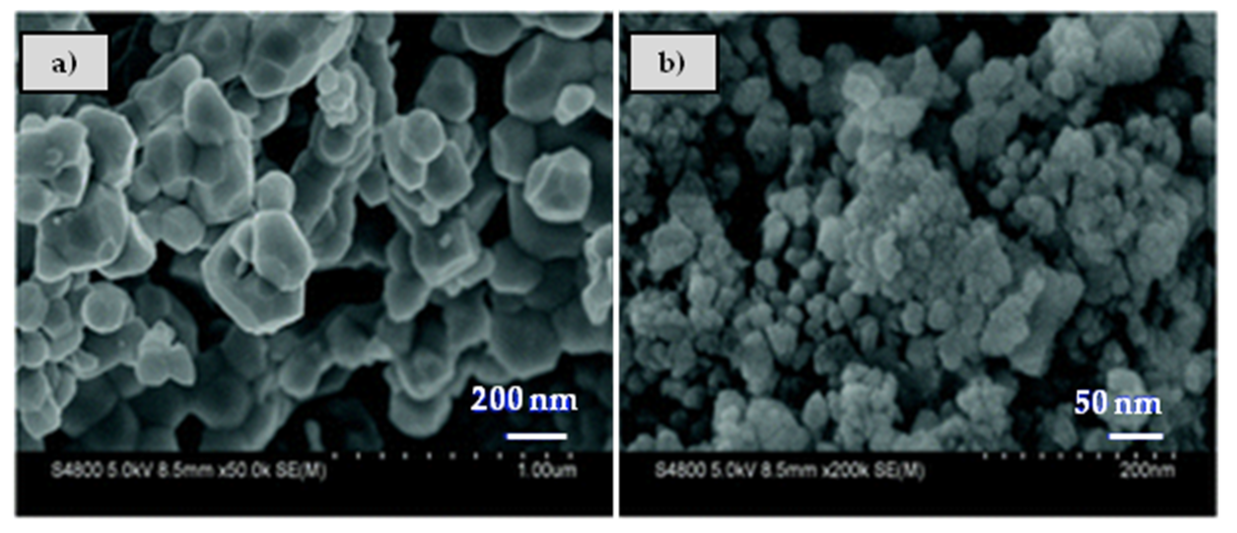 Catalysts 10 00208 g005 Catalysts 10 00208 g005