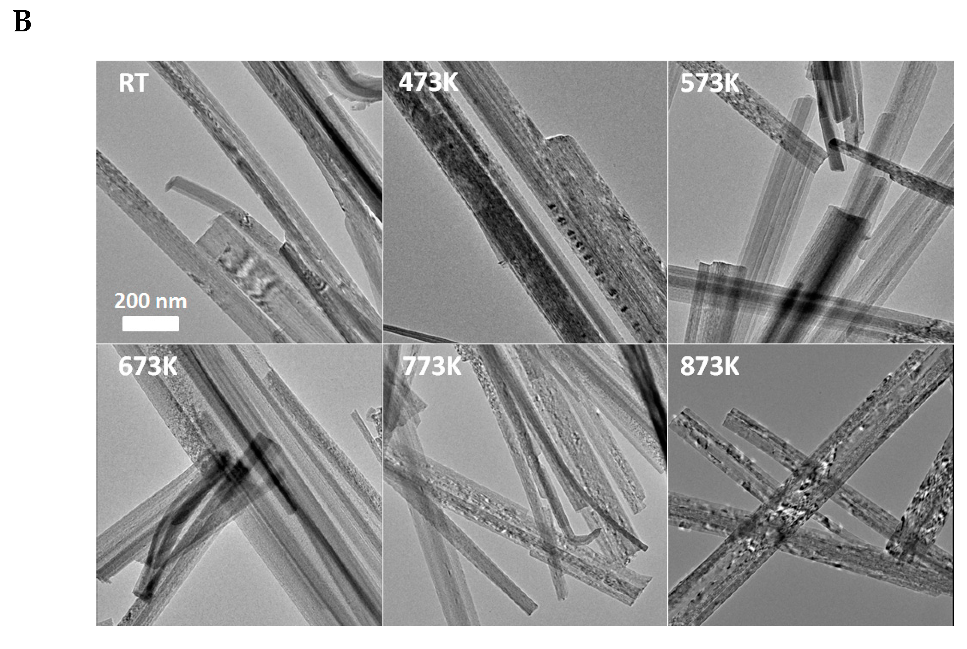Catalysts 10 00212 g001b Catalysts 10 00212 g001b