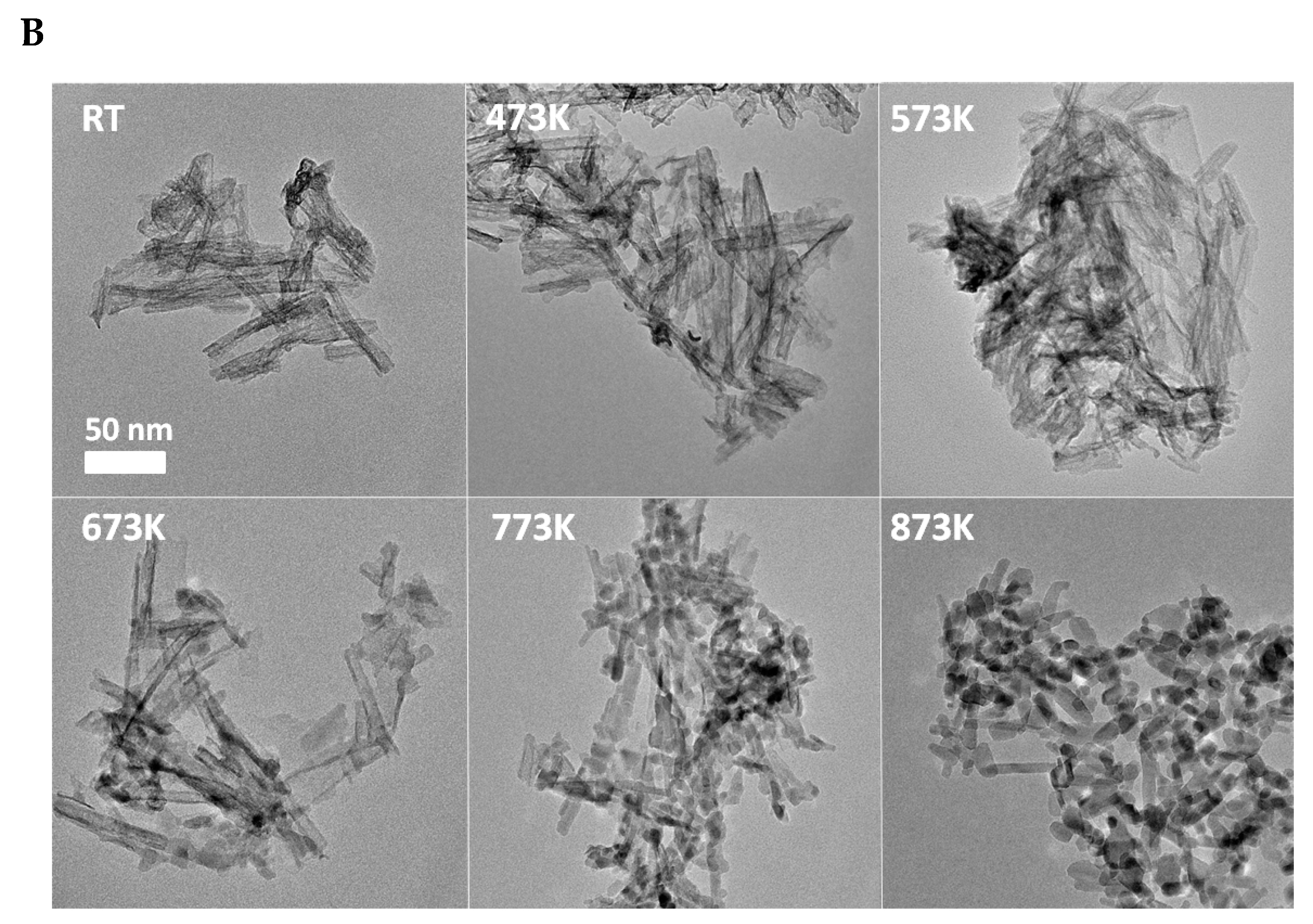 Catalysts 10 00212 g002b Catalysts 10 00212 g002b