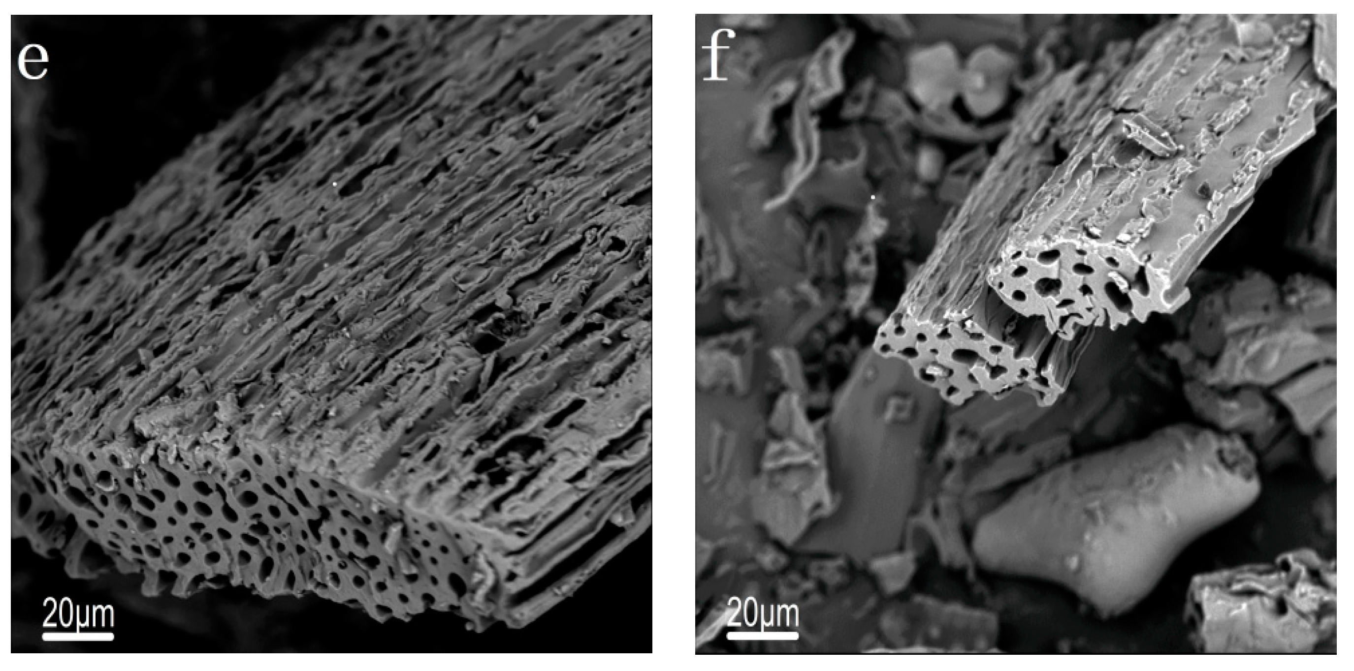 Catalysts 10 00213 g002b