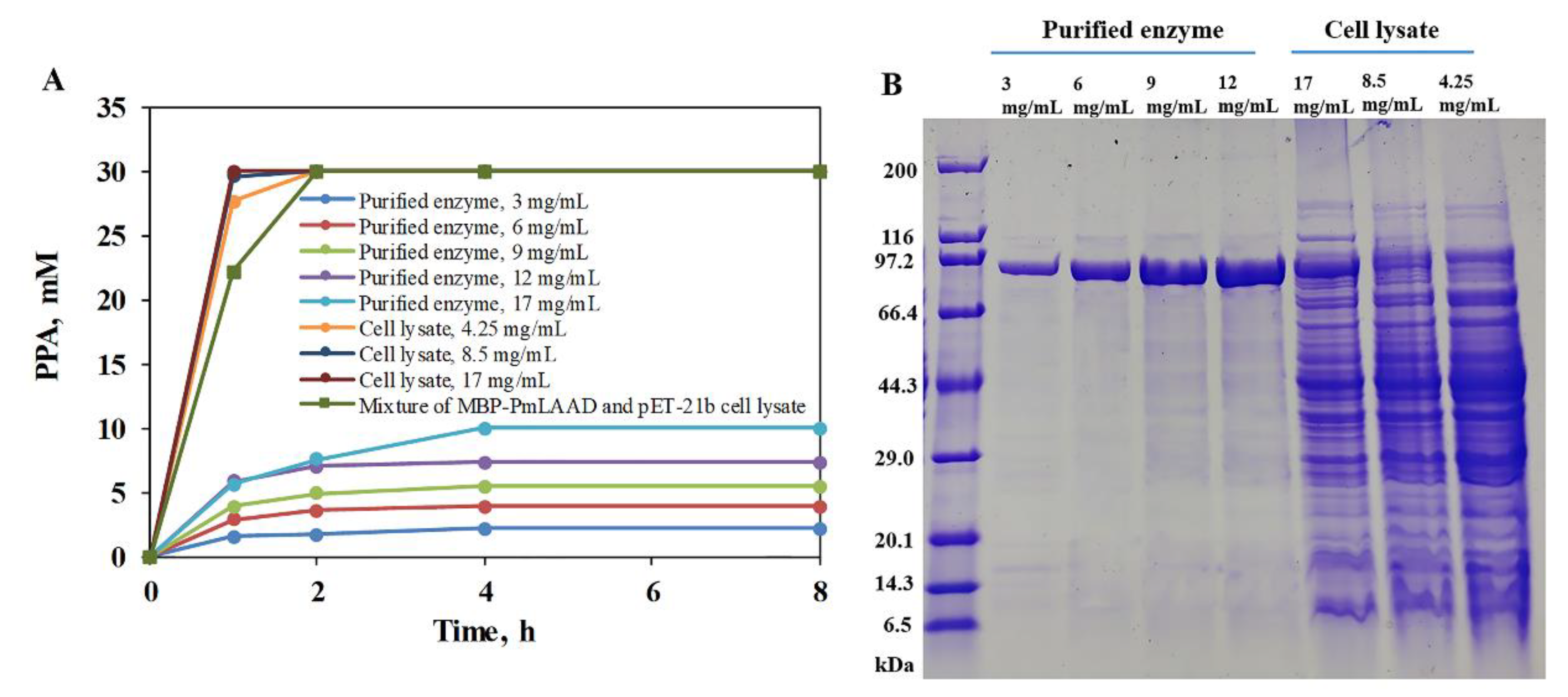 Catalysts 10 00215 g004 Catalysts 10 00215 g004