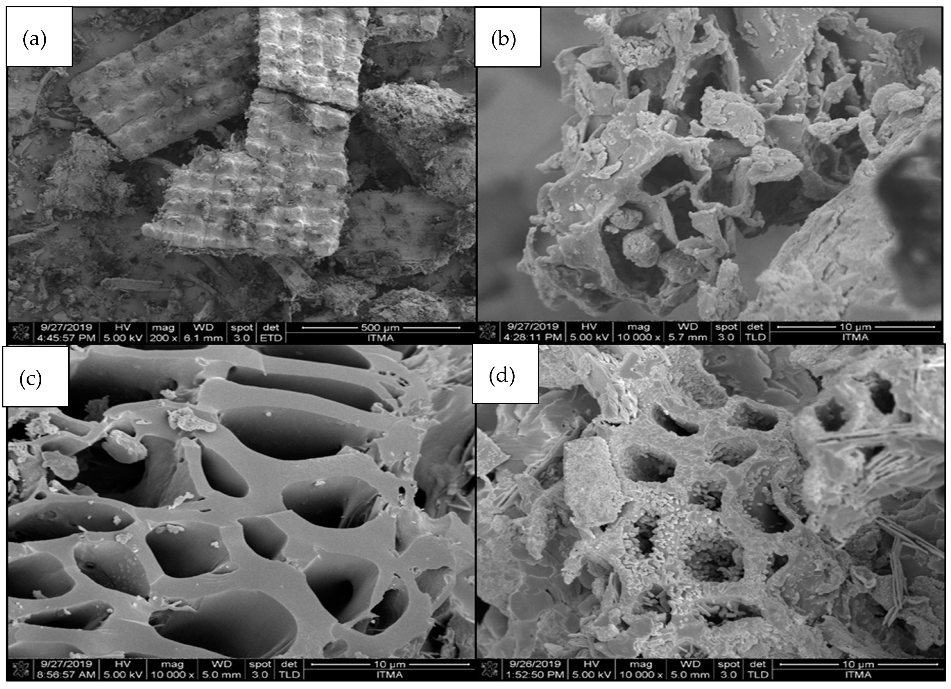 Catalysts 10 00225 g004