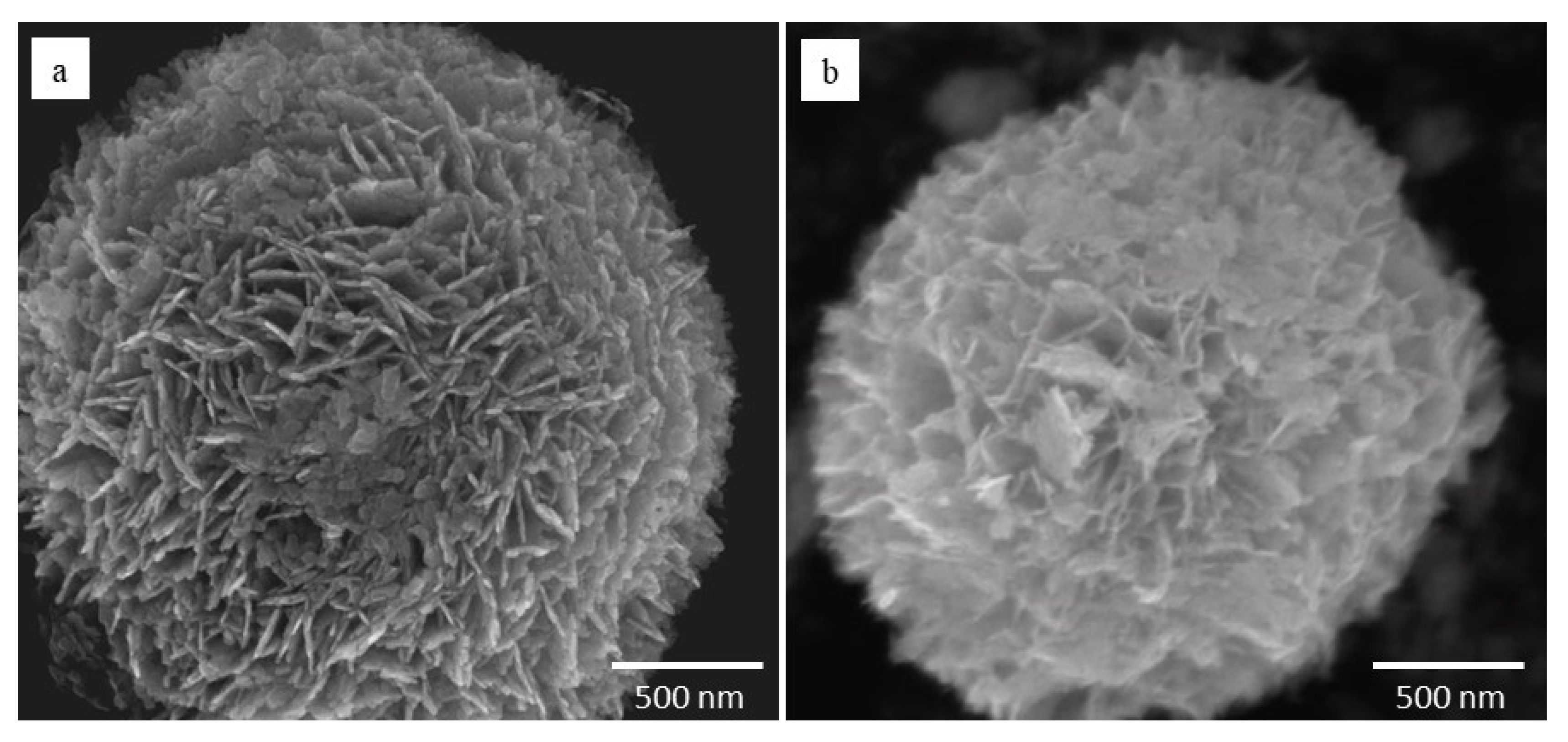 Catalysts 10 00226 g002