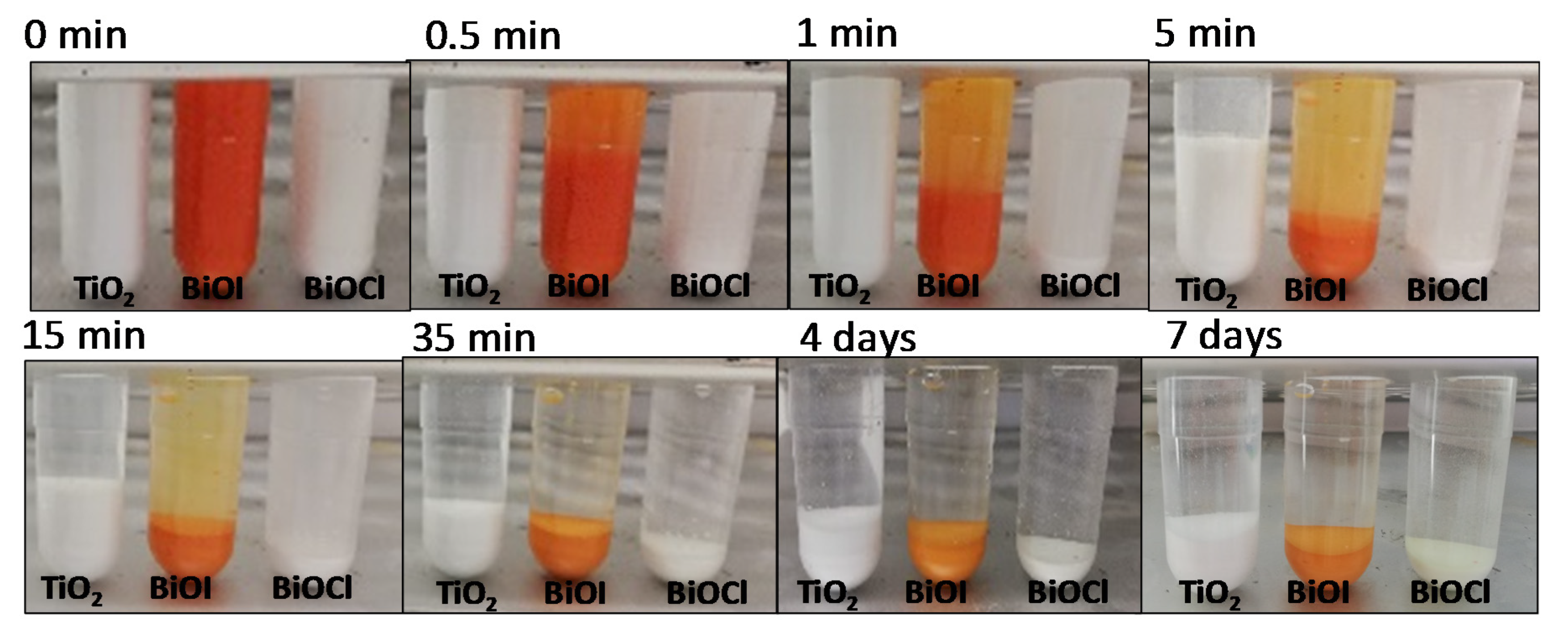 Catalysts 10 00226 g003