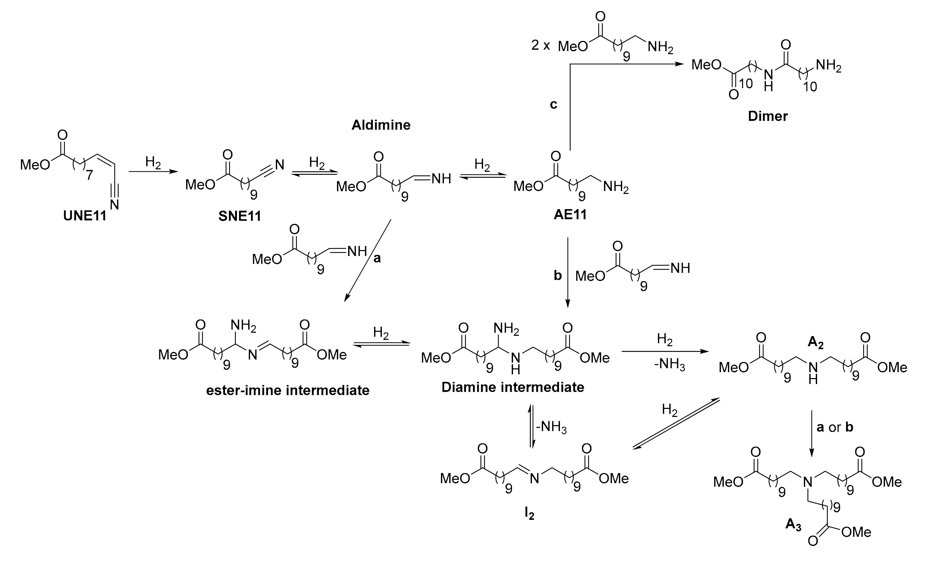 Catalysts Free FullText Regeneration of Raney®Nickel Catalyst for