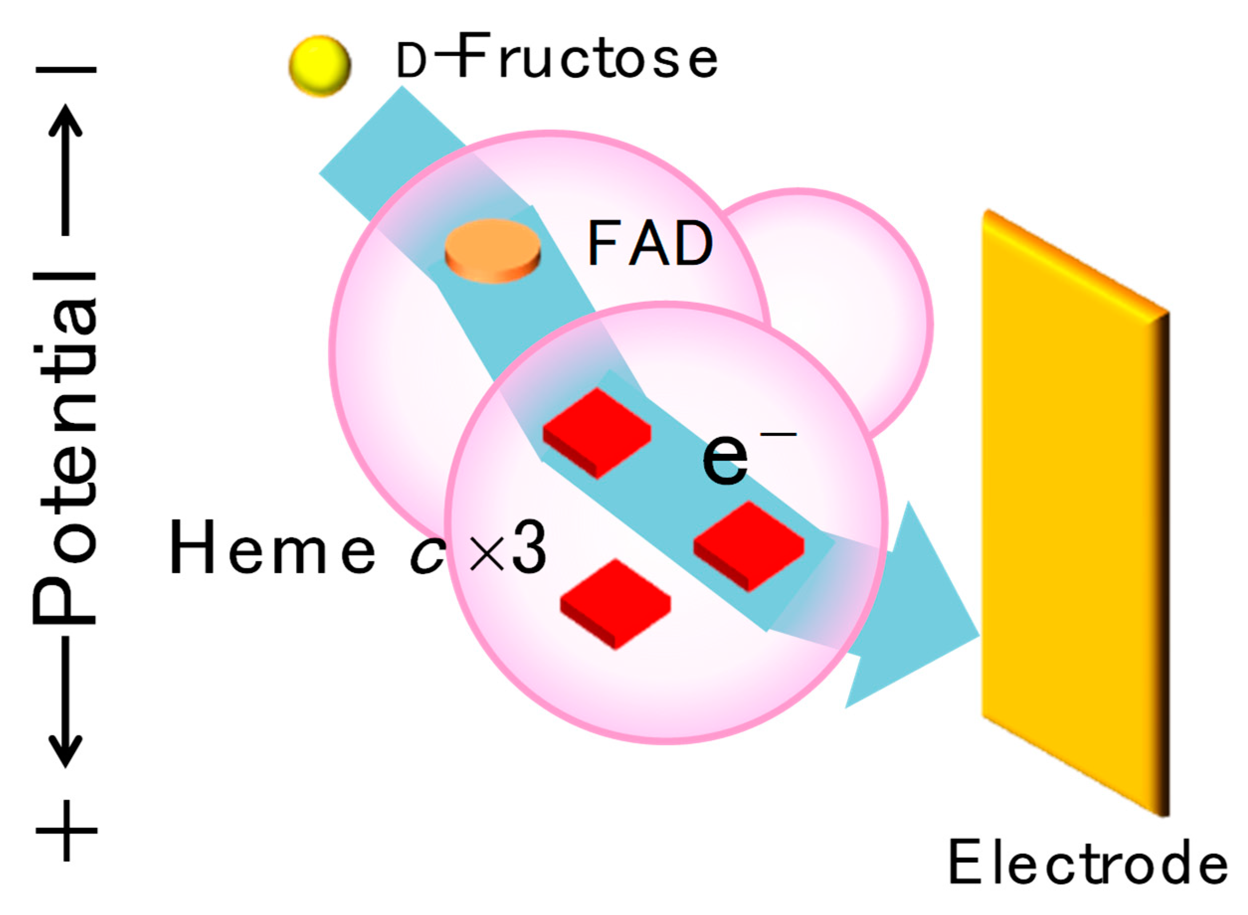 Catalysts 10 00236 g009 Catalysts 10 00236 g009