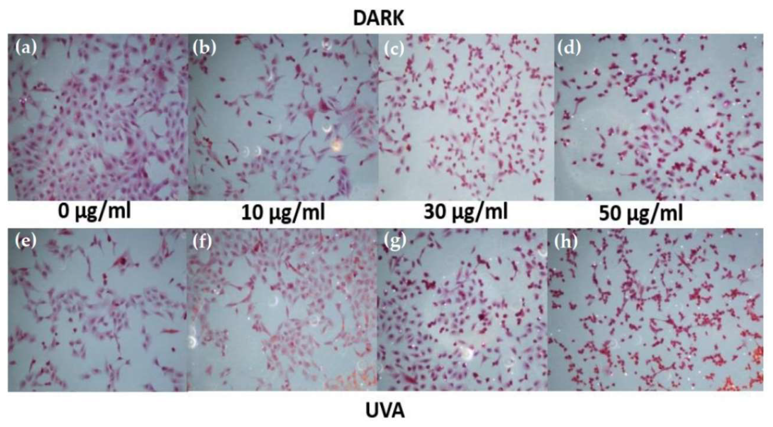 Catalysts 10 00238 g004 Catalysts 10 00238 g004