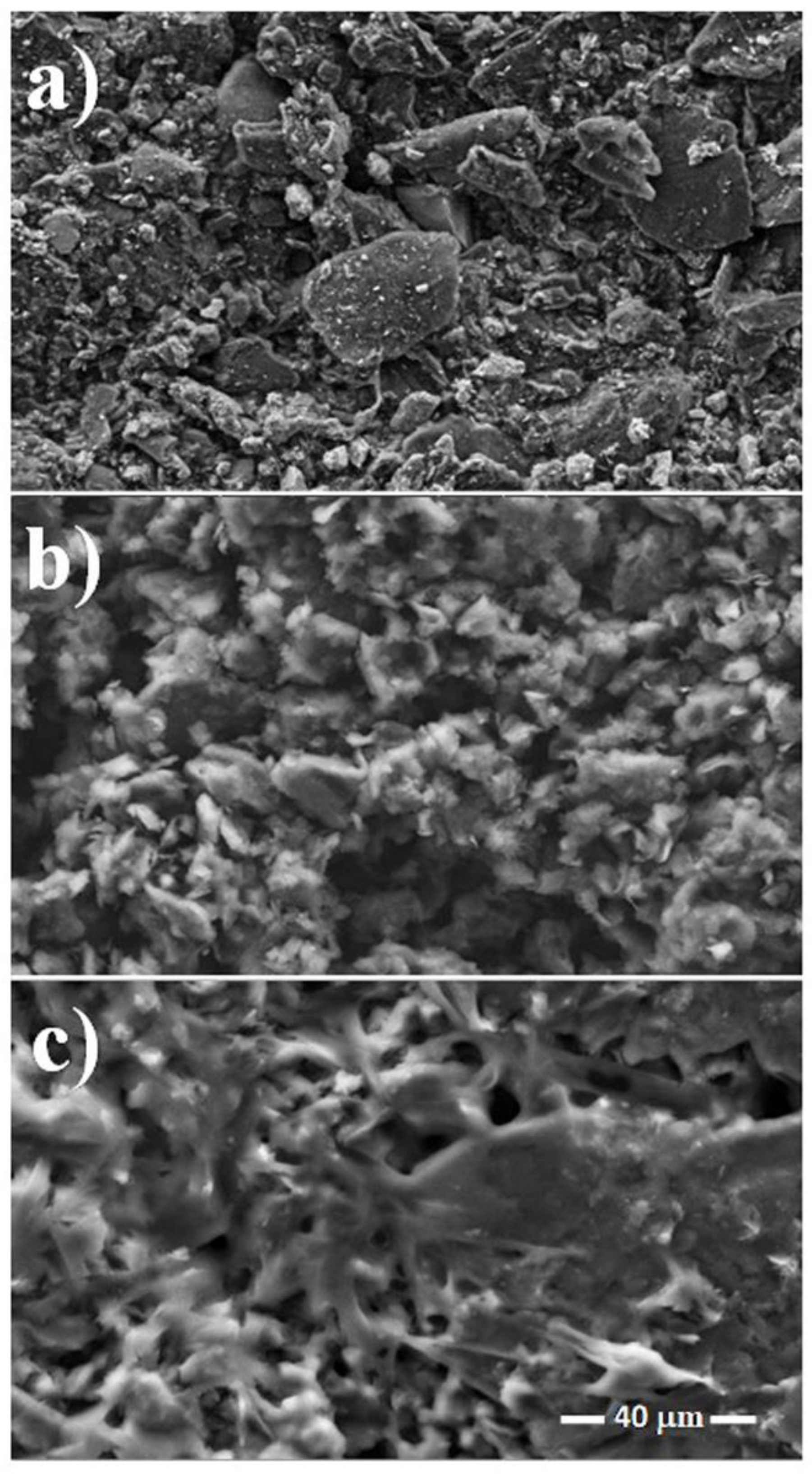 Catalysts 10 00239 g002 Catalysts 10 00239 g002