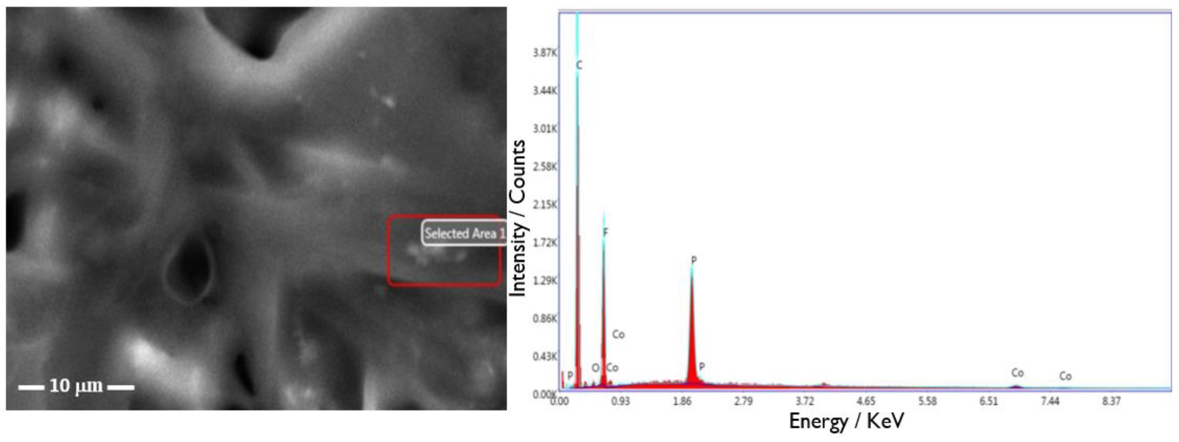 Catalysts 10 00239 g003 Catalysts 10 00239 g003