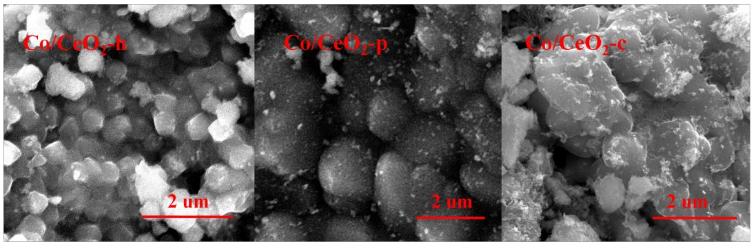 Catalysts 10 00243 g005