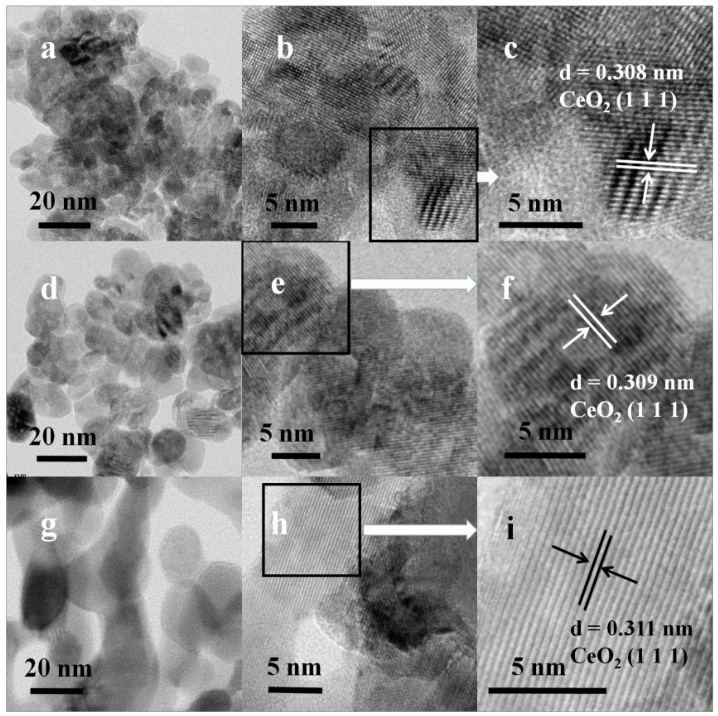 Catalysts 10 00243 g007