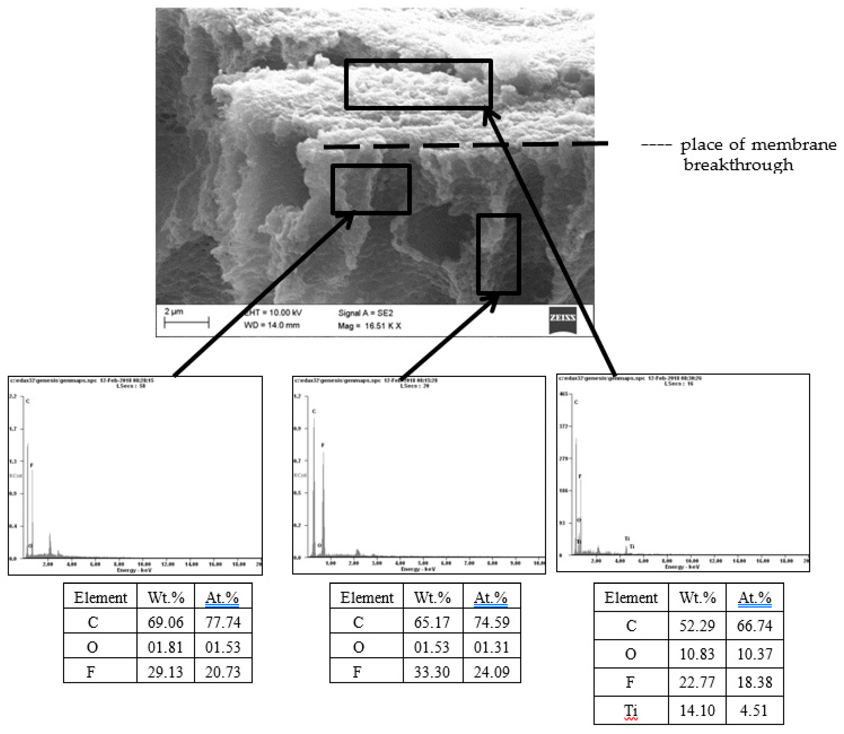 Catalysts 10 00249 g005