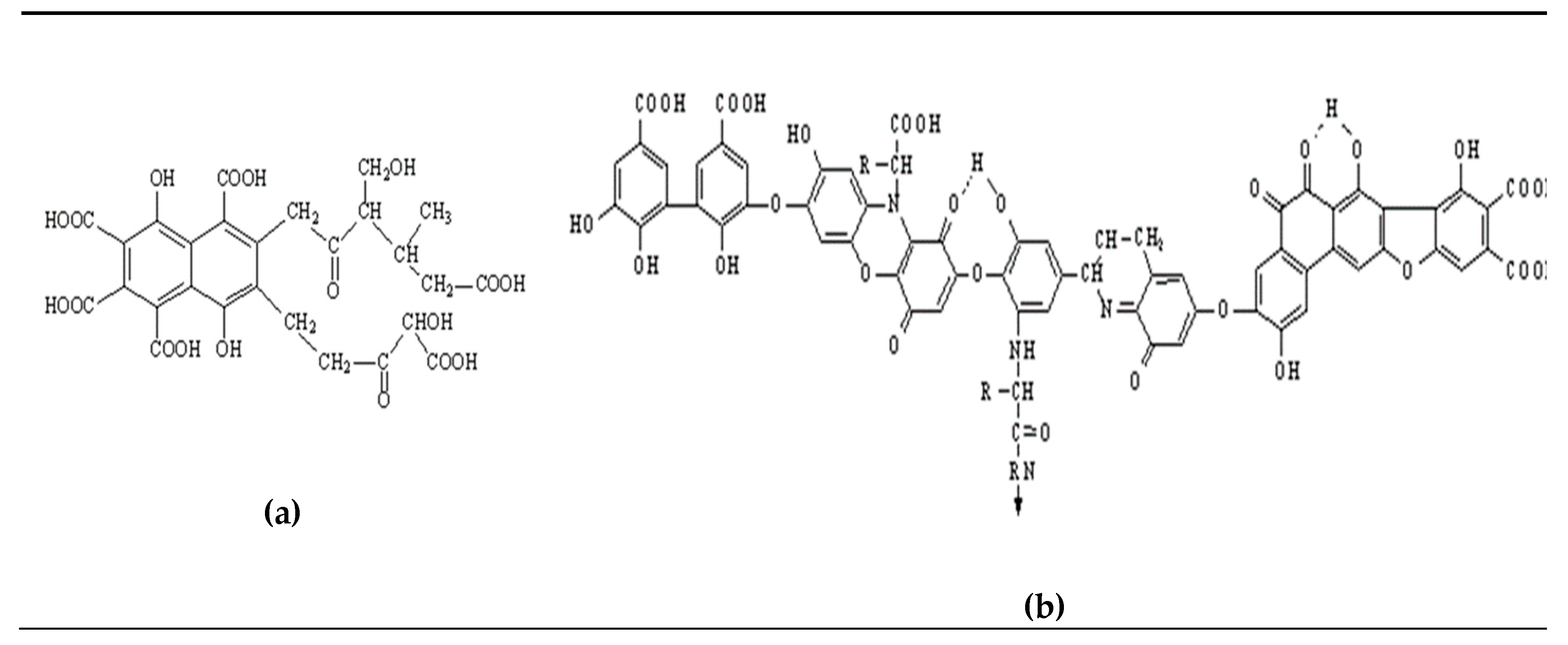 Catalysts 10 00249 g007