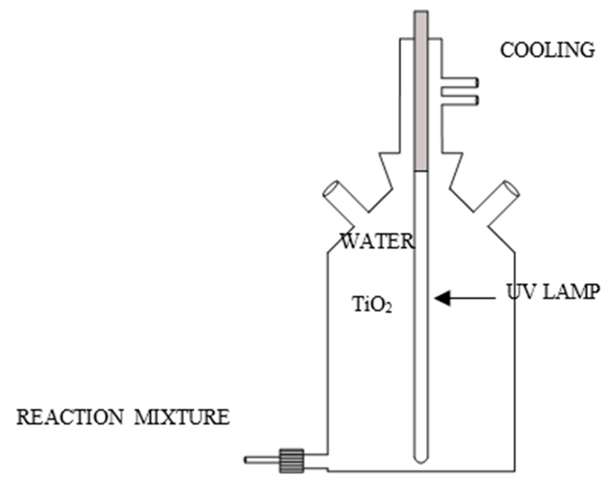 Catalysts 10 00249 g008