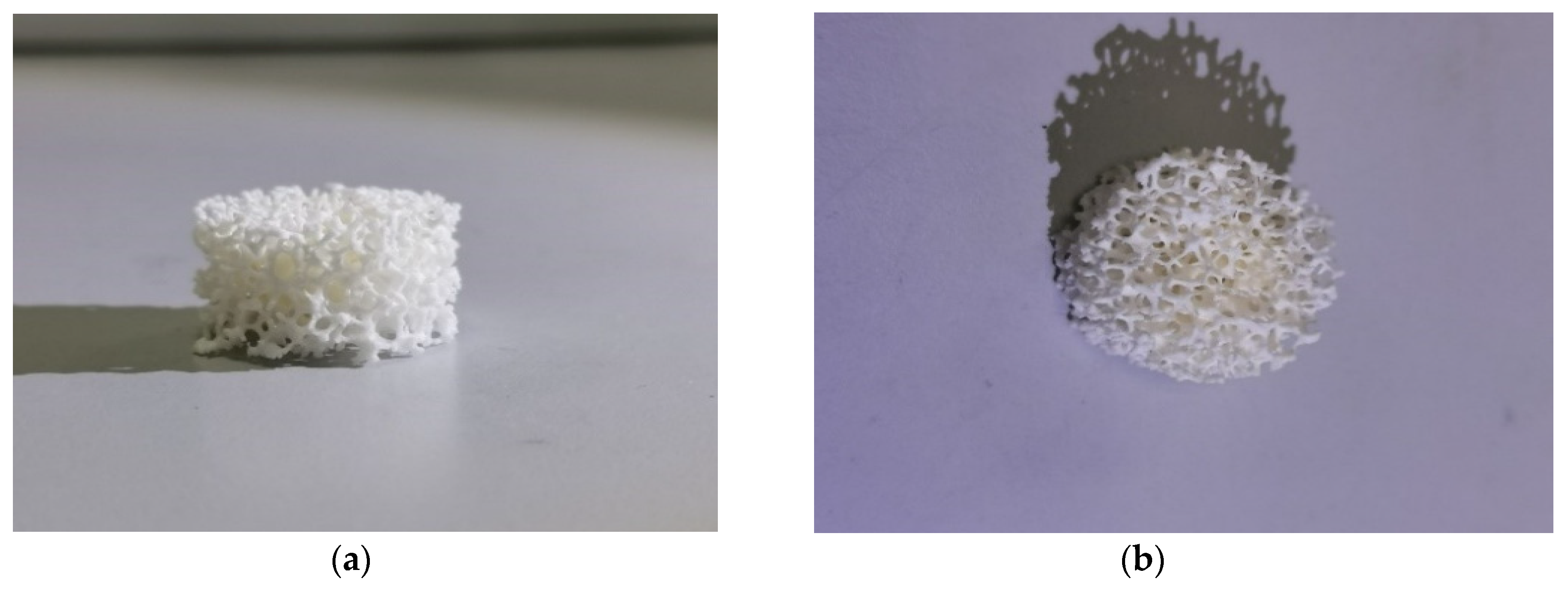 Catalysts 10 00250 g006a