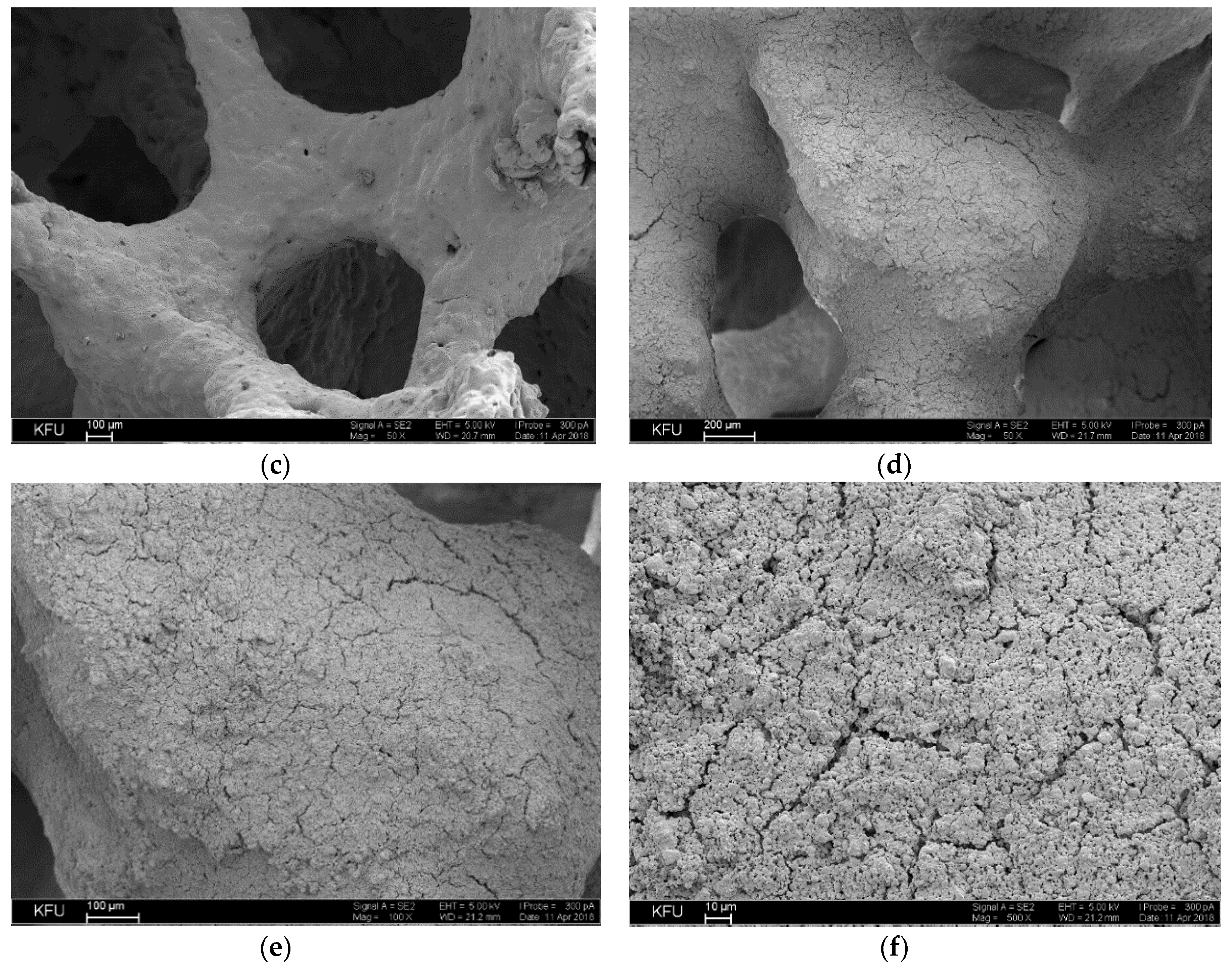Catalysts 10 00250 g006b