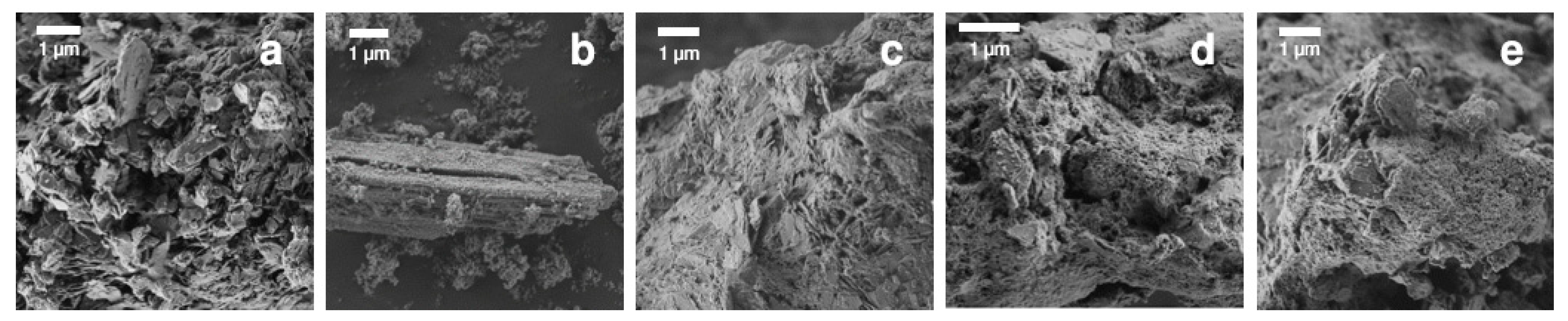 Catalysts 10 00253 g004 Catalysts 10 00253 g004