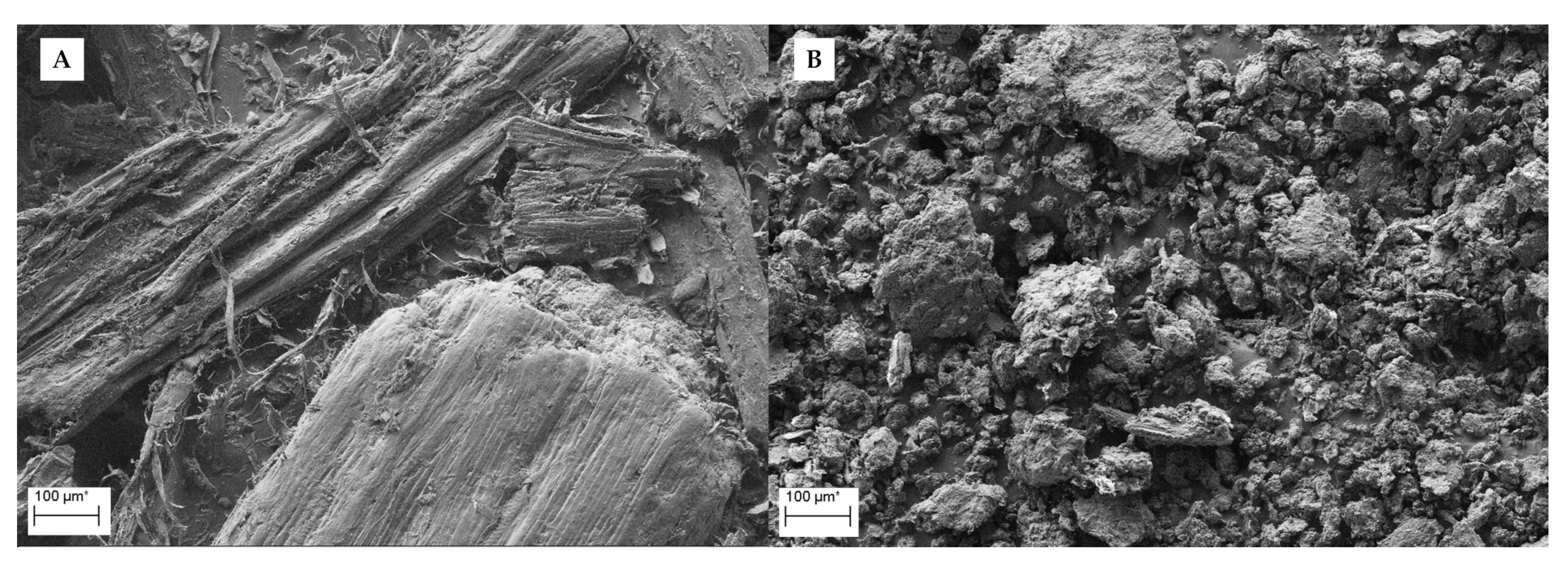 Catalysts 10 00255 g004 Catalysts 10 00255 g004