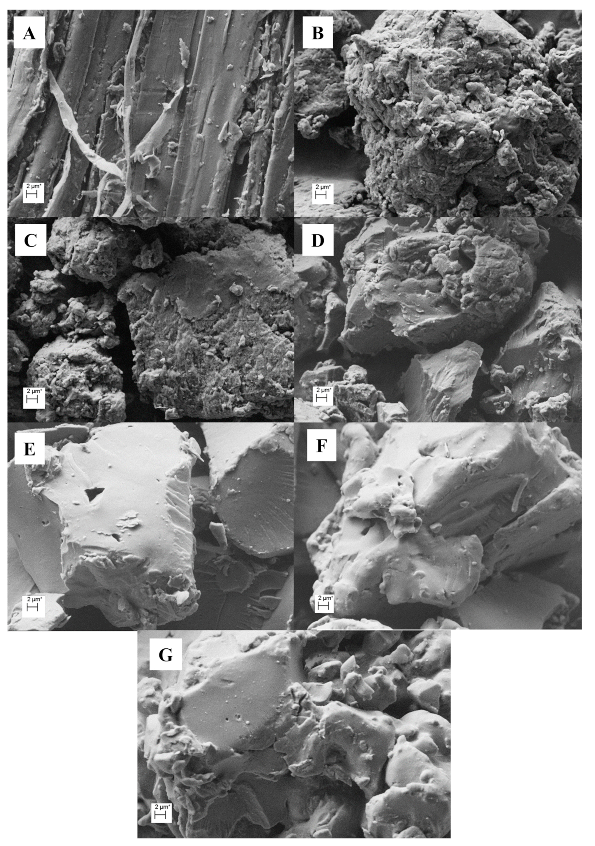 Catalysts 10 00255 g005 Catalysts 10 00255 g005