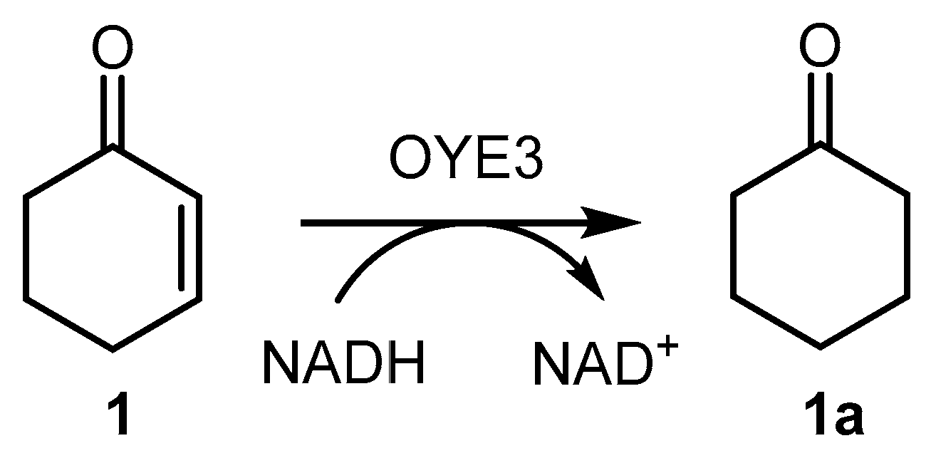 Catalysts 10 00260 sch001