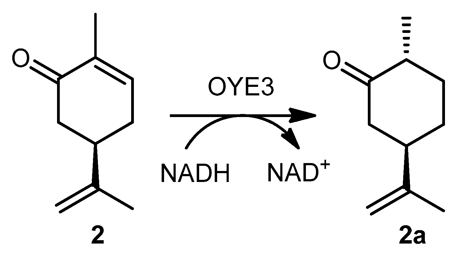 Catalysts 10 00260 sch002