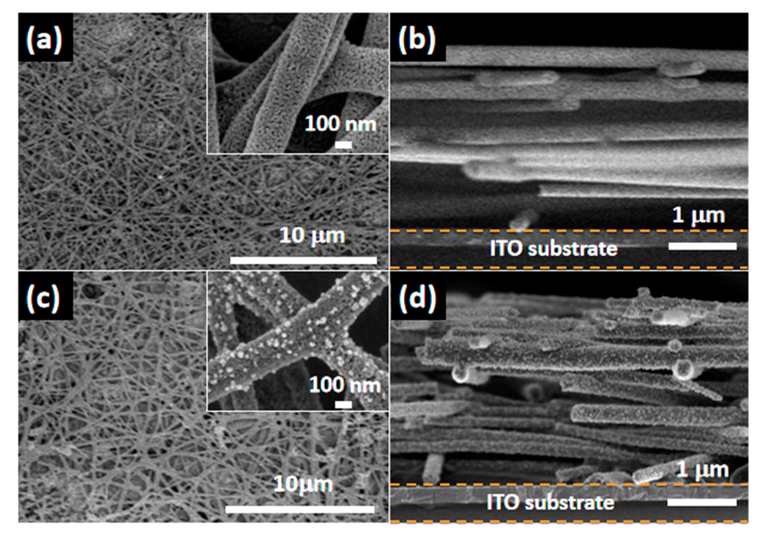 Catalysts 10 00261 g002