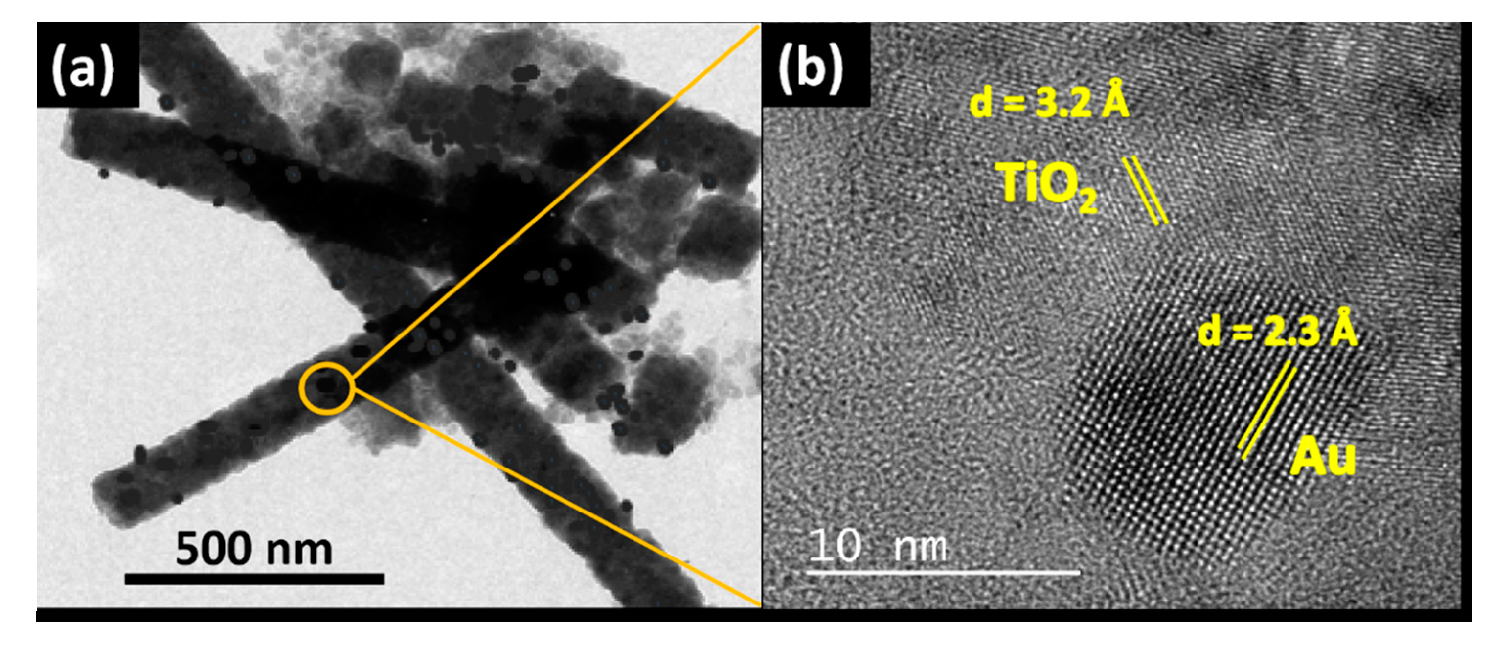 Catalysts 10 00261 g004