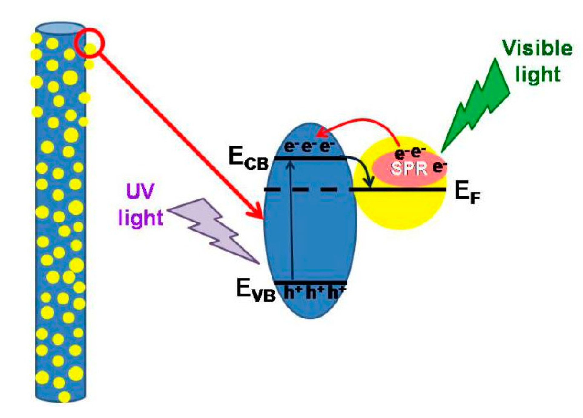 Catalysts 10 00261 g008