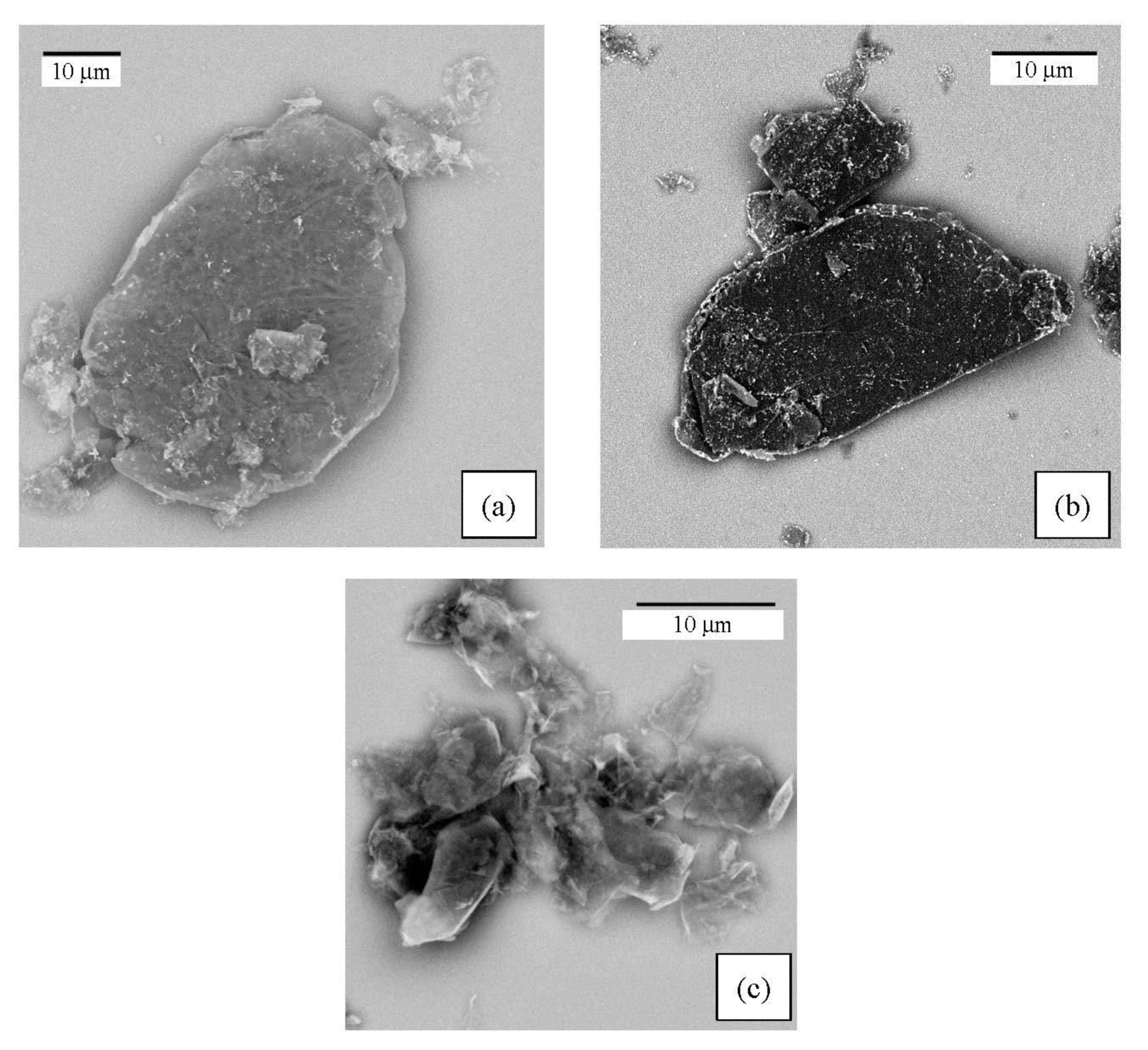 Catalysts 10 00263 g002 Catalysts 10 00263 g002