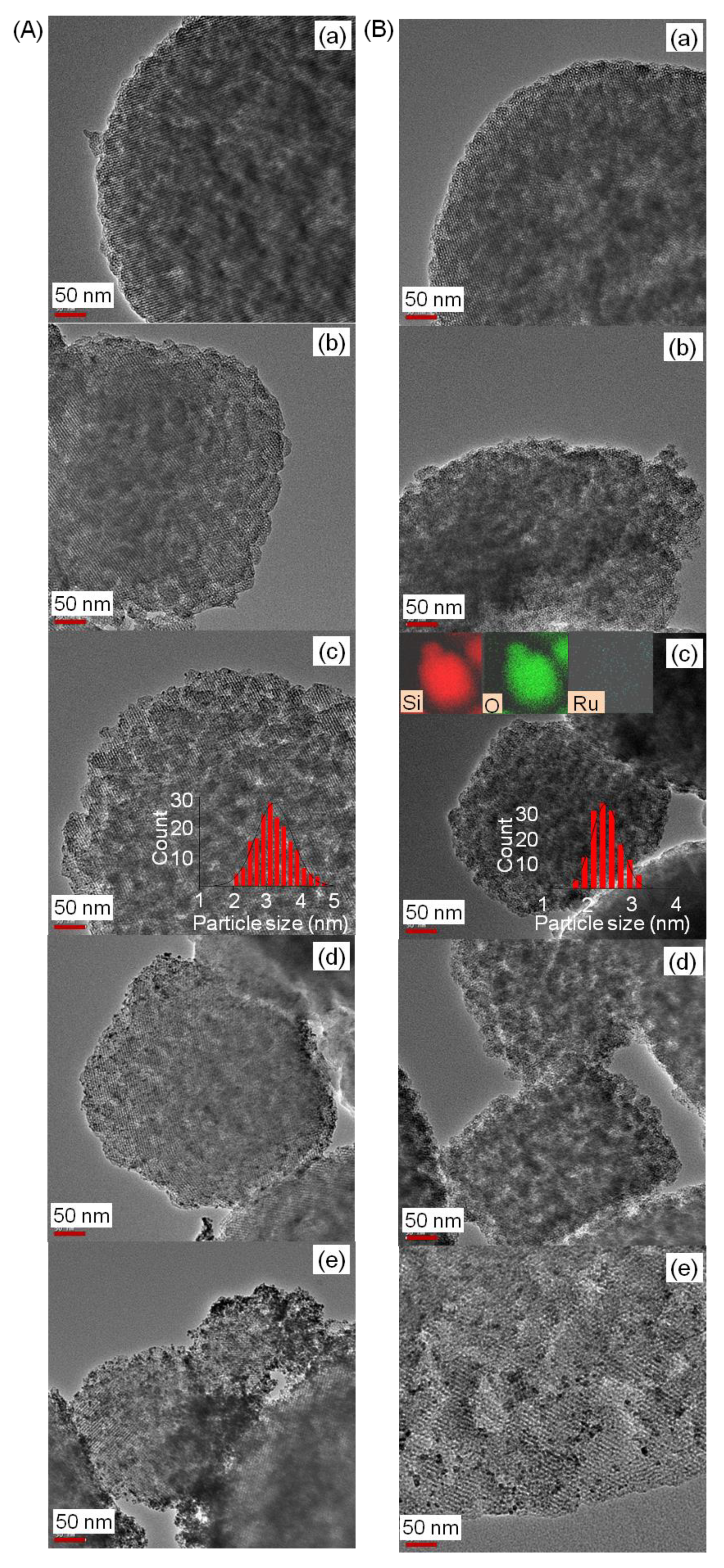 Catalysts 10 00267 g006