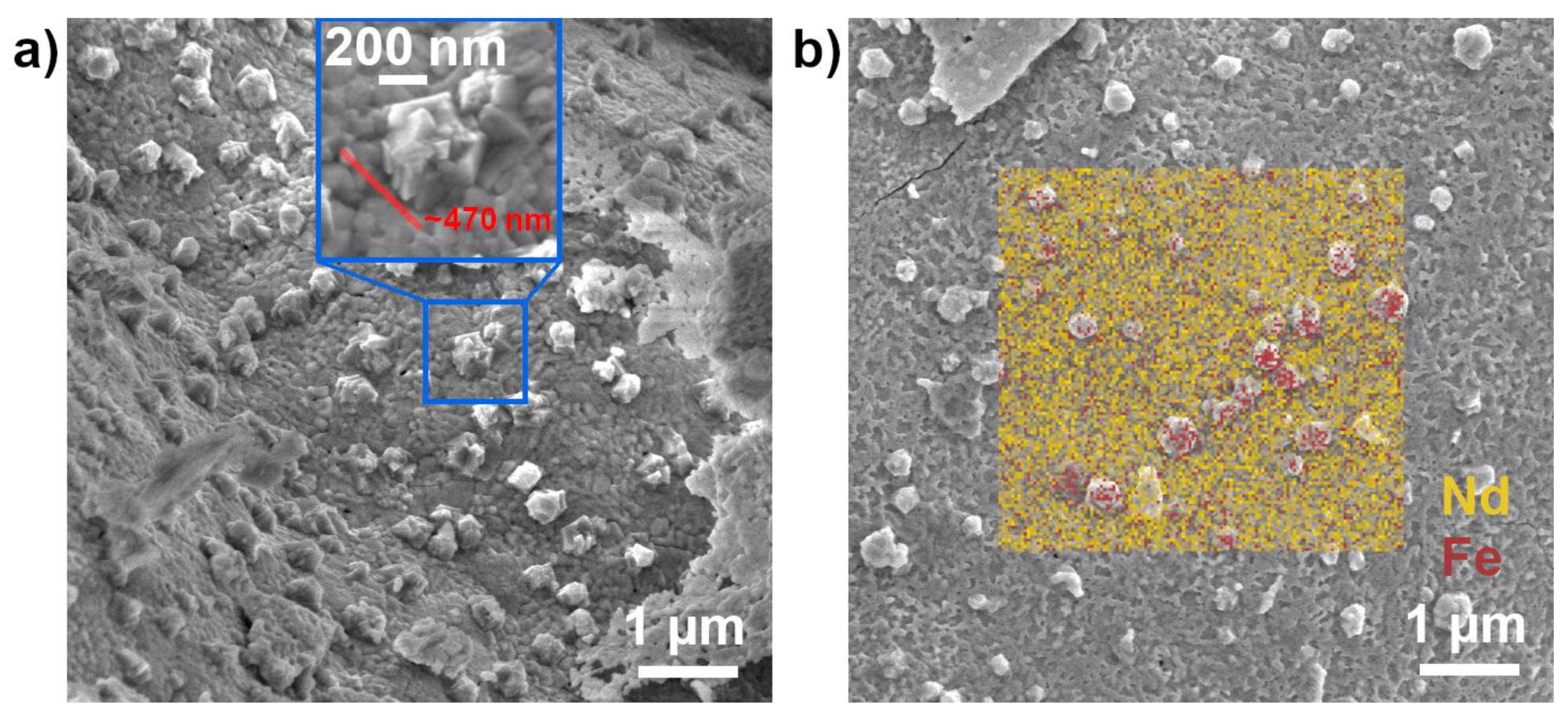 Catalysts 10 00268 g004