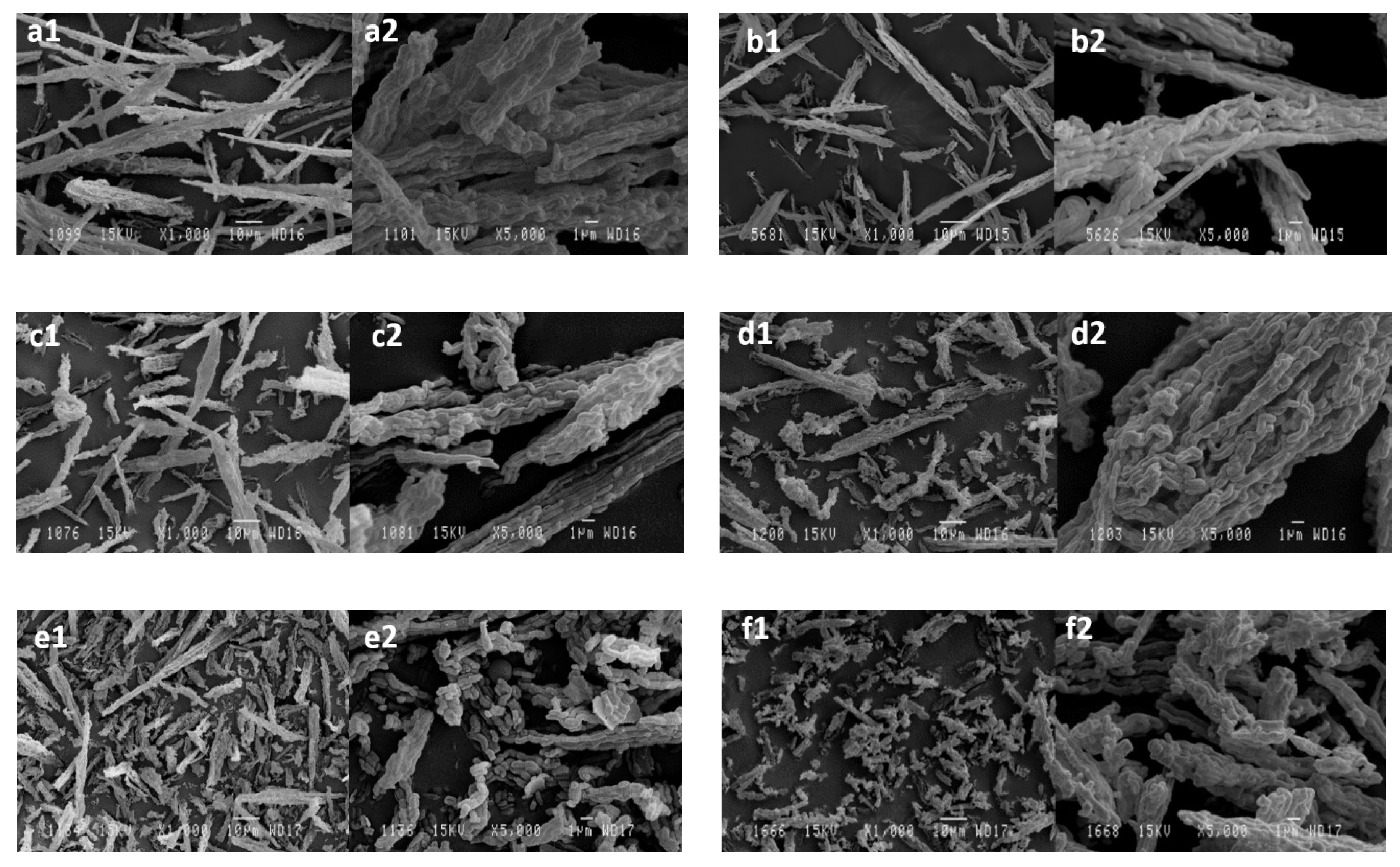 Catalysts 10 00272 g007a
