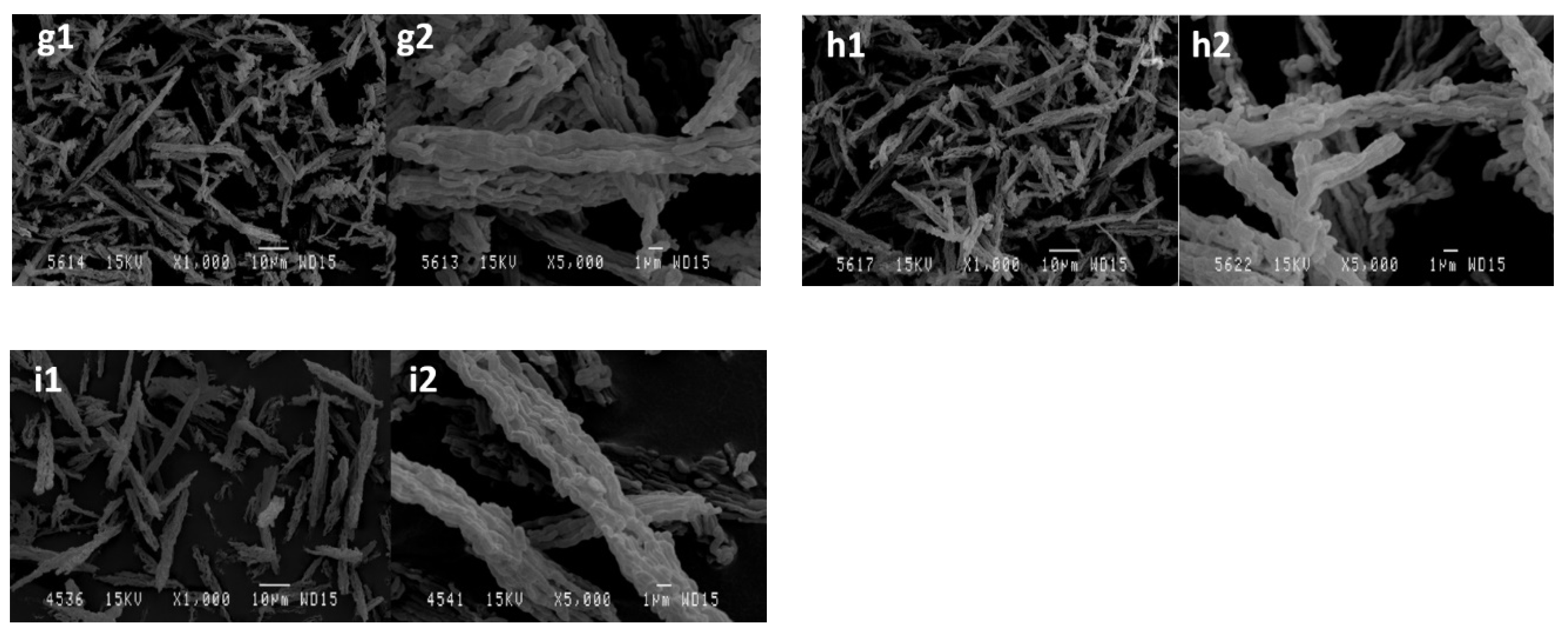 Catalysts 10 00272 g007b