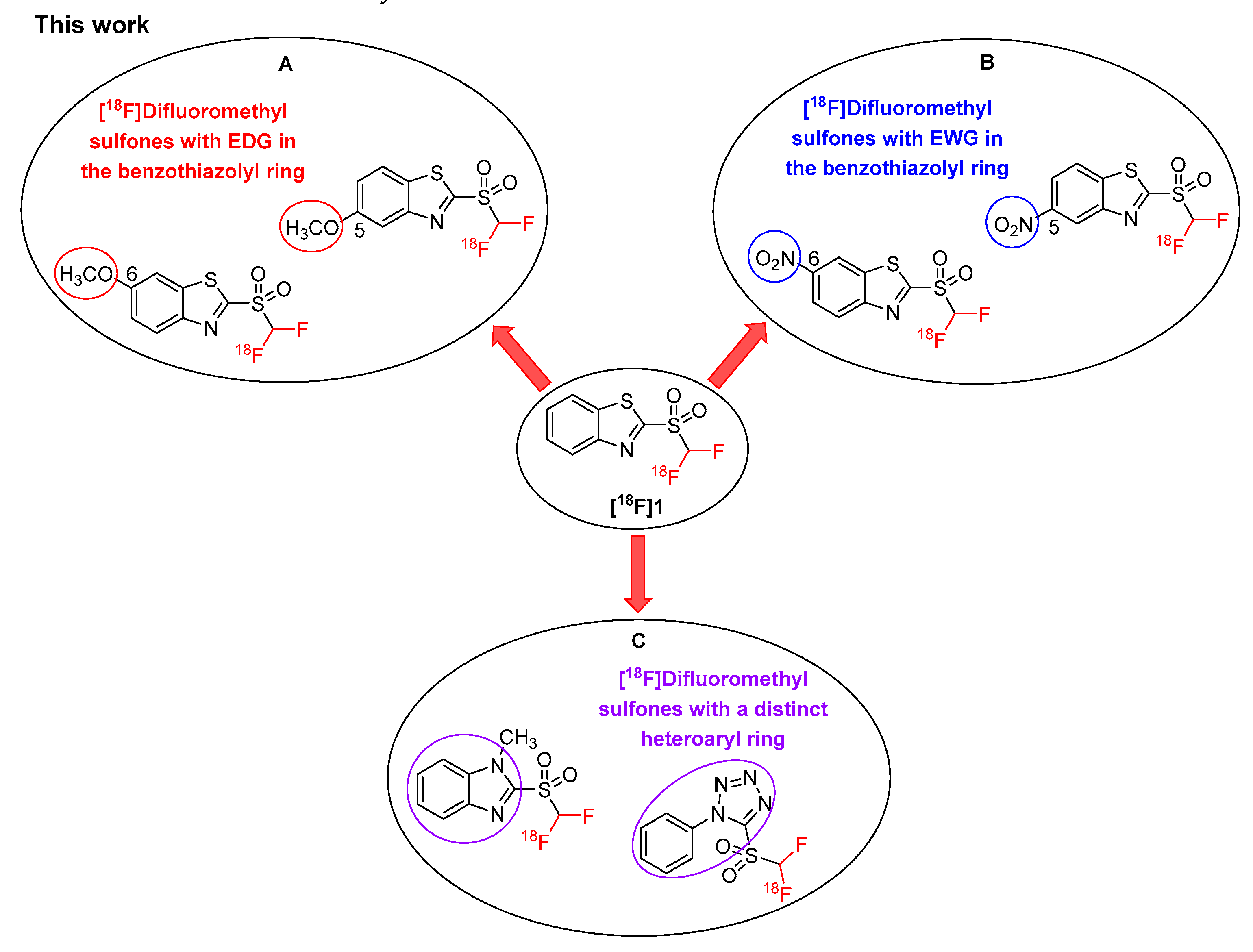 Catalysts 10 00275 g002