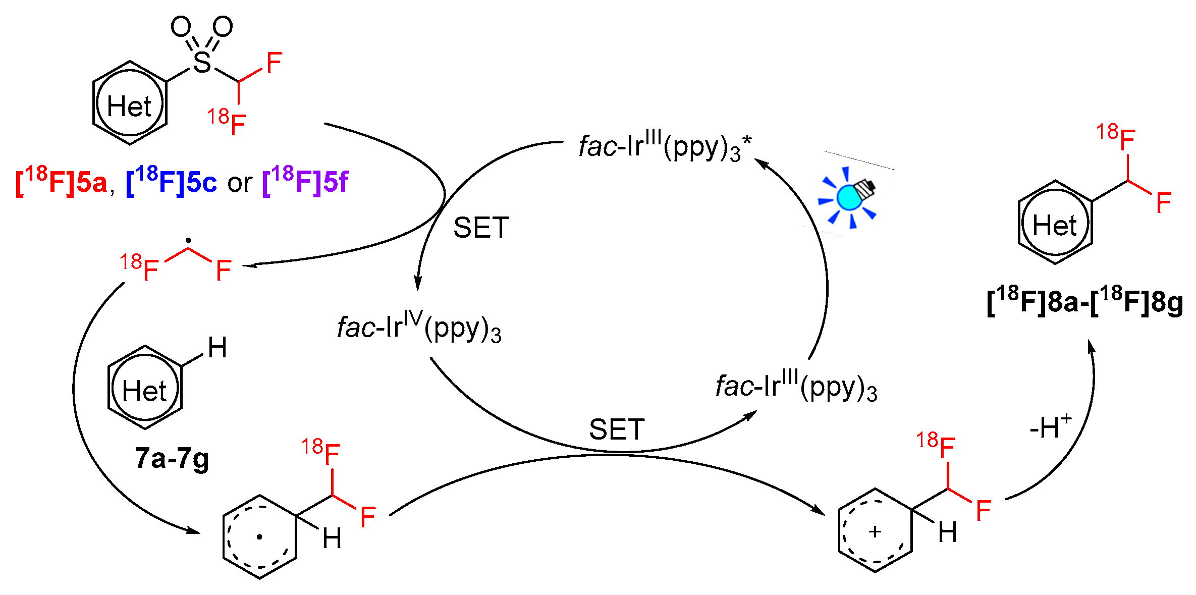 Catalysts 10 00275 g007