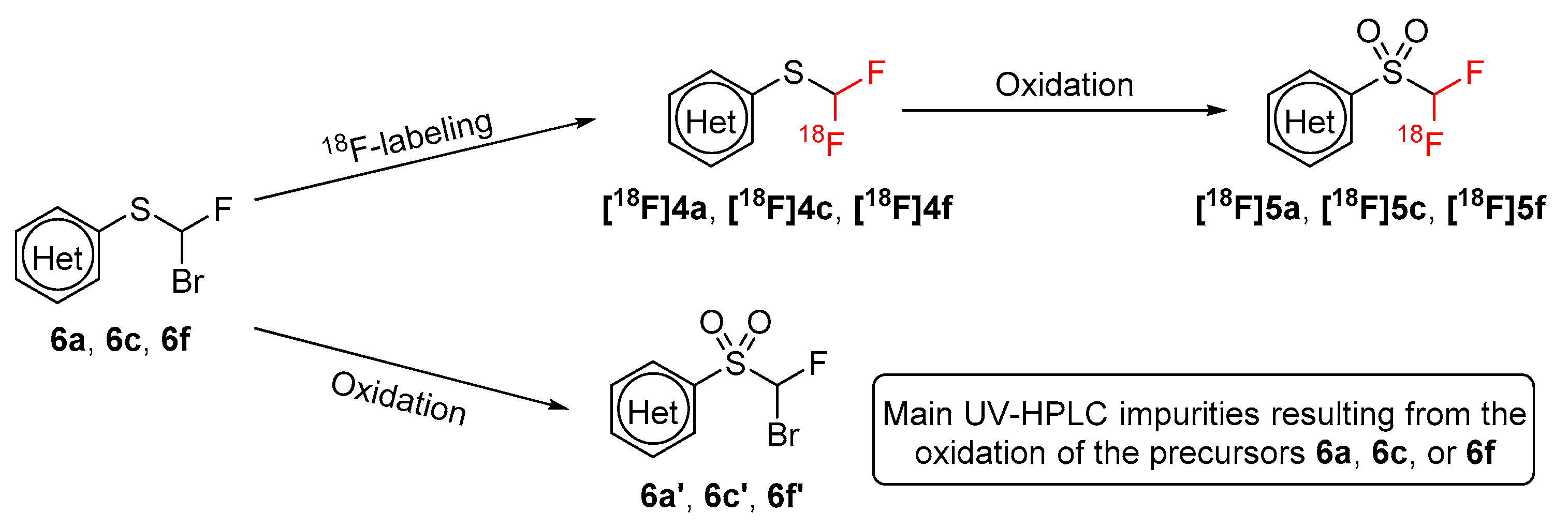 Catalysts 10 00275 sch004
