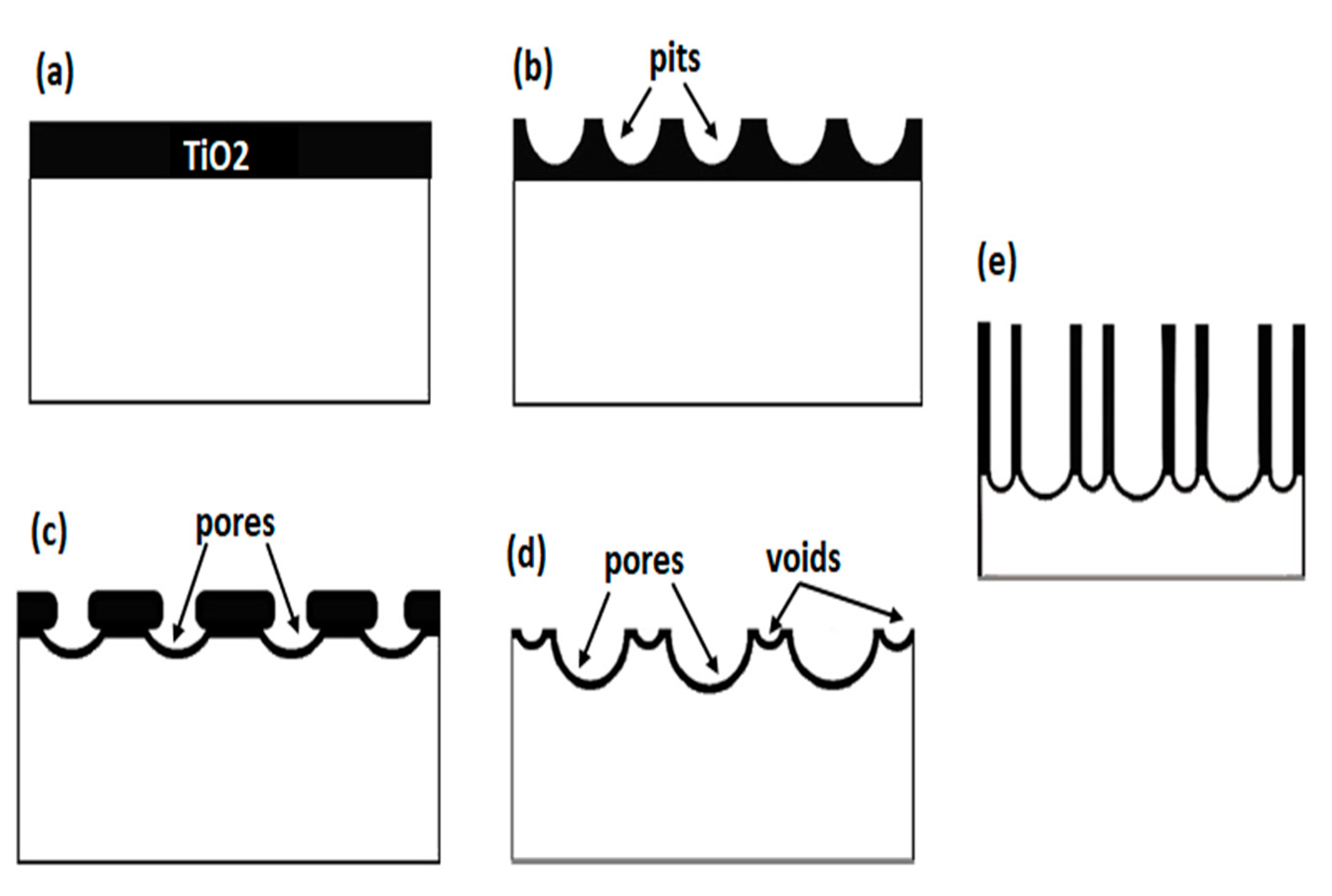Catalysts 10 00279 g001