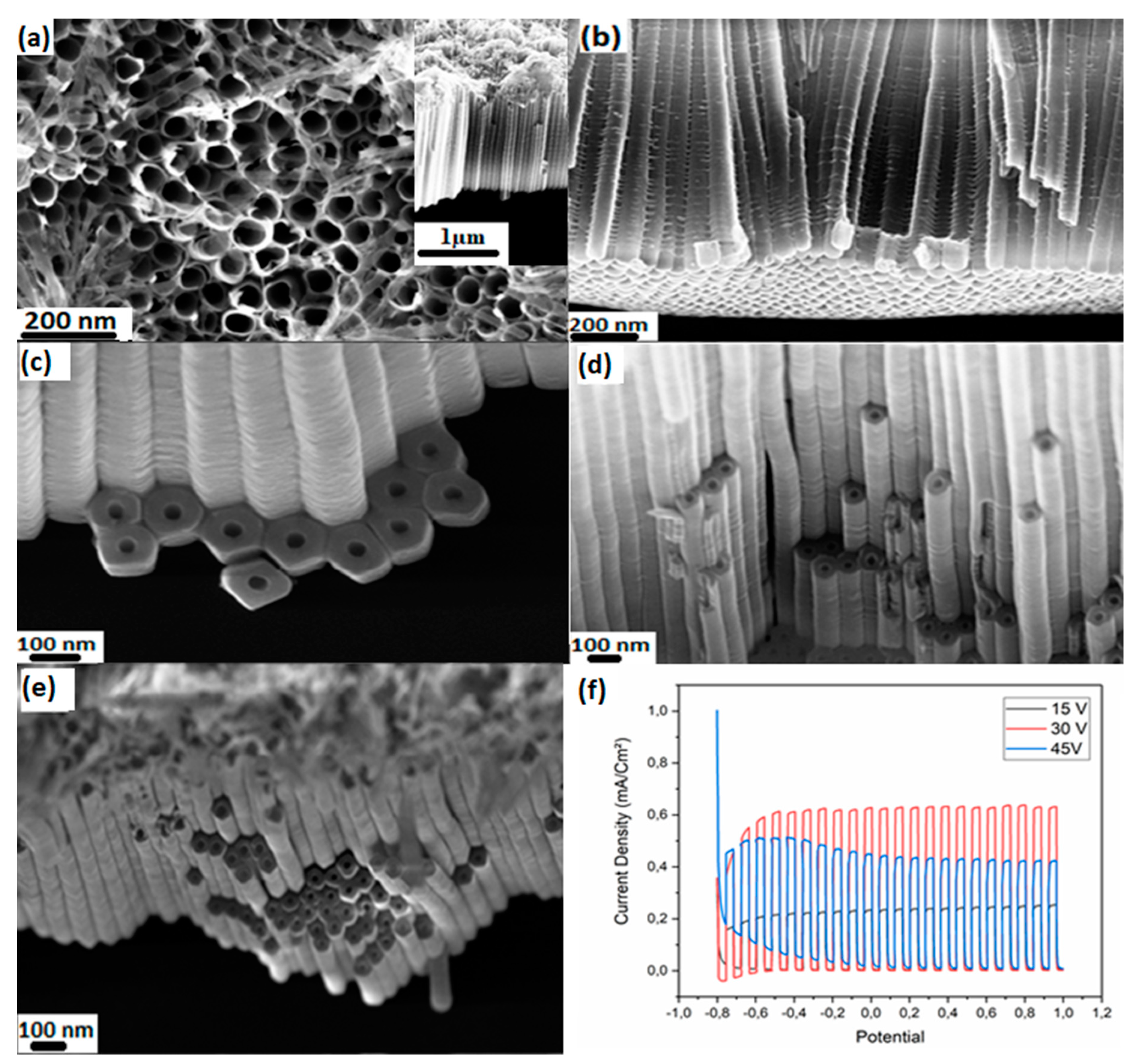 Catalysts 10 00279 g007