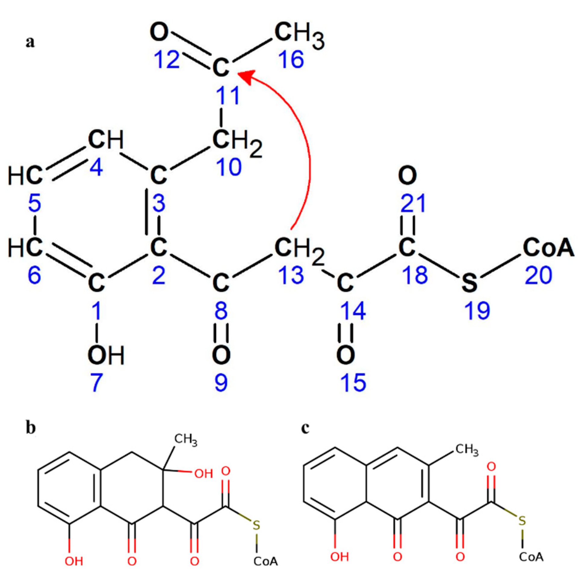 Catalysts 10 00280 g002 Catalysts 10 00280 g002
