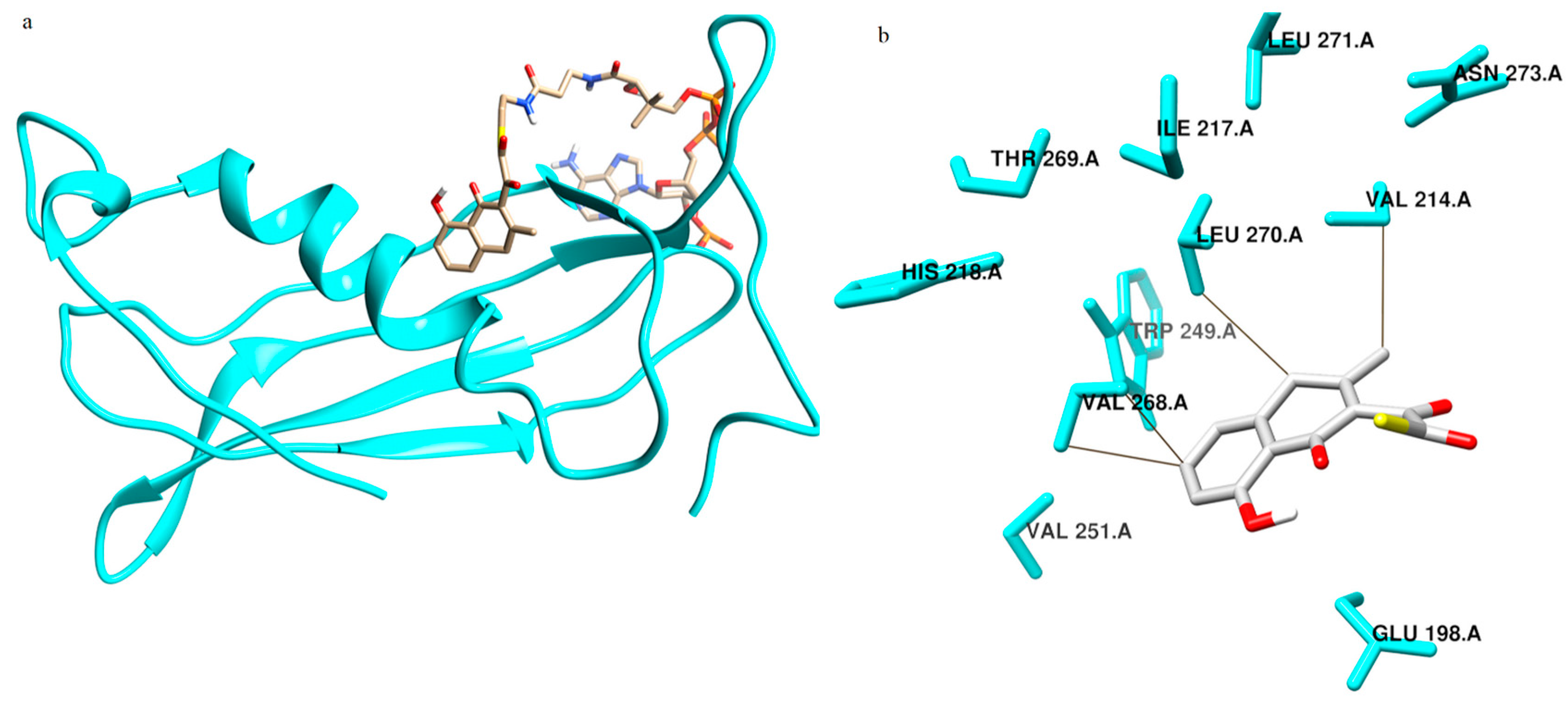 Catalysts 10 00280 g004 Catalysts 10 00280 g004