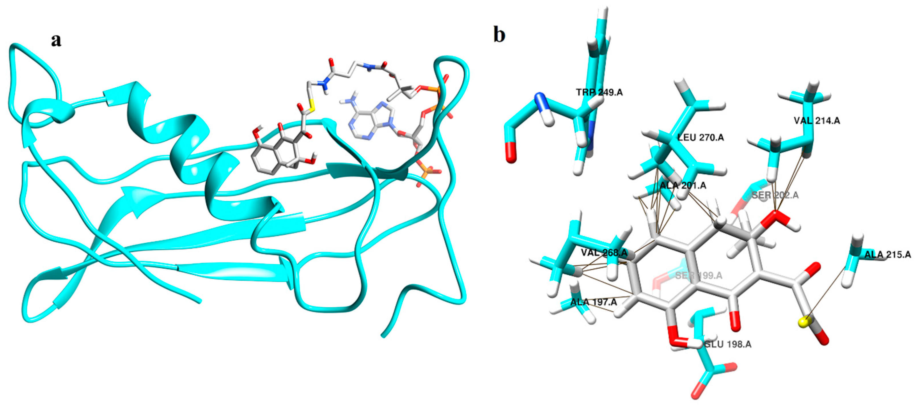 Catalysts 10 00280 g005 Catalysts 10 00280 g005