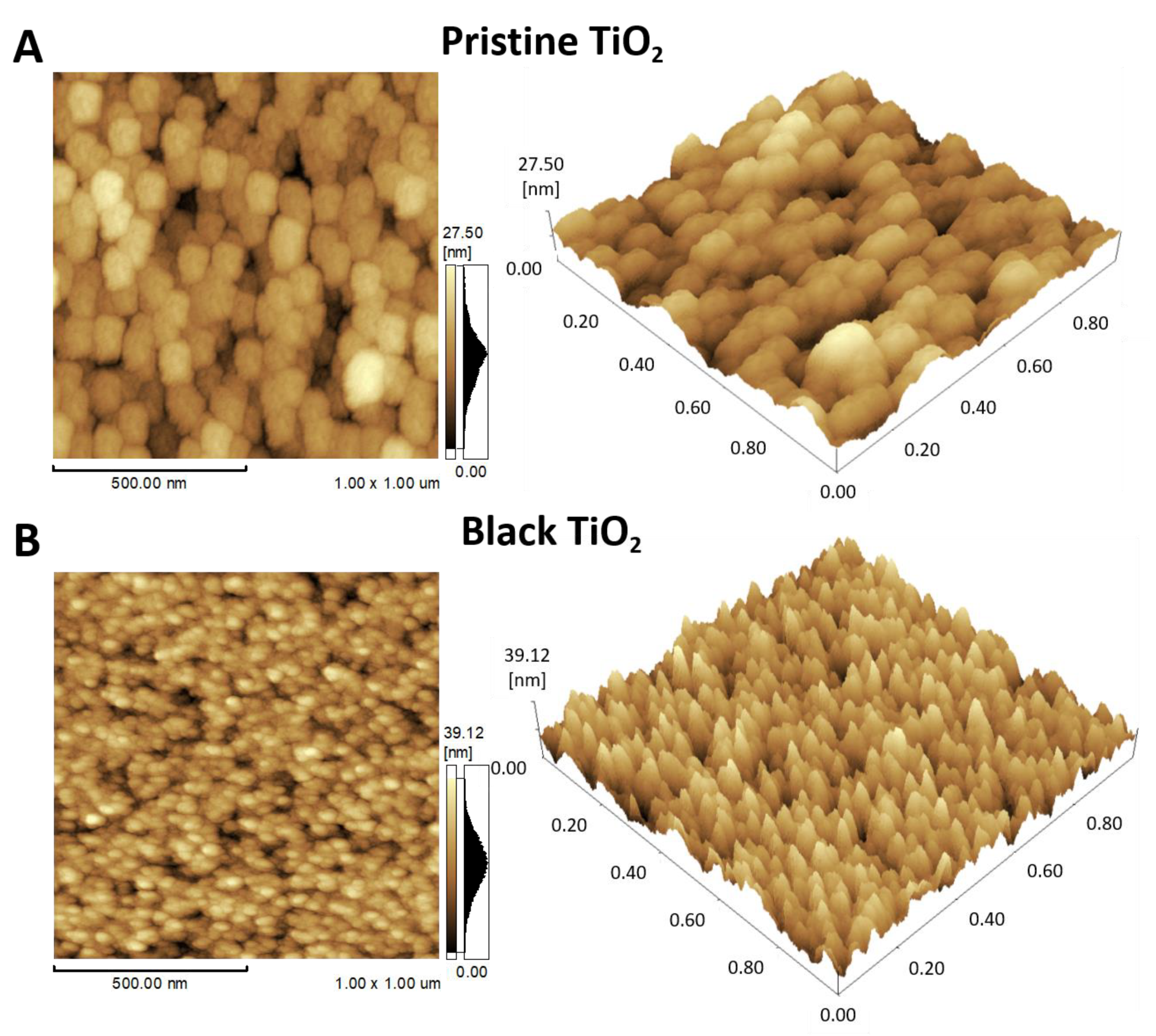 Catalysts 10 00282 g001