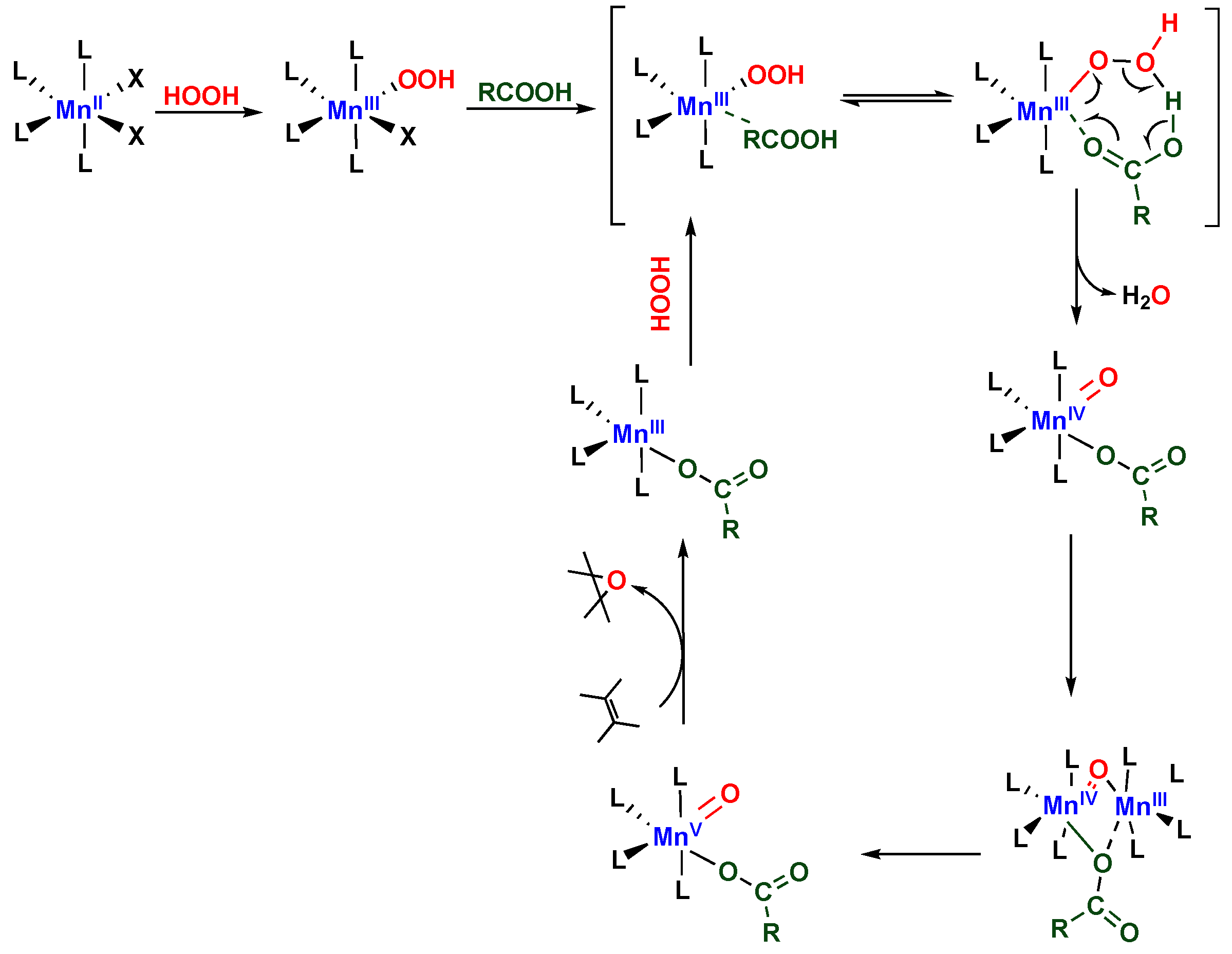 Catalysts 10 00285 sch003