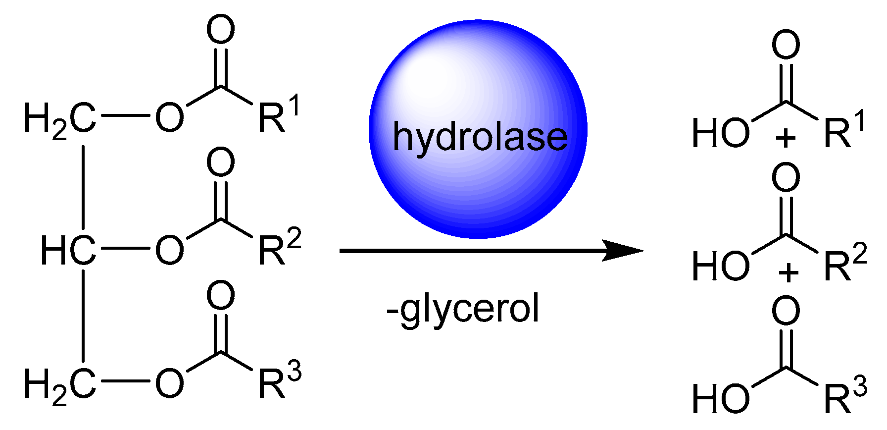 Catalysts 10 00287 g002 Catalysts 10 00287 g002