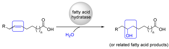 Catalysts 10 00287 i001 Catalysts 10 00287 i001