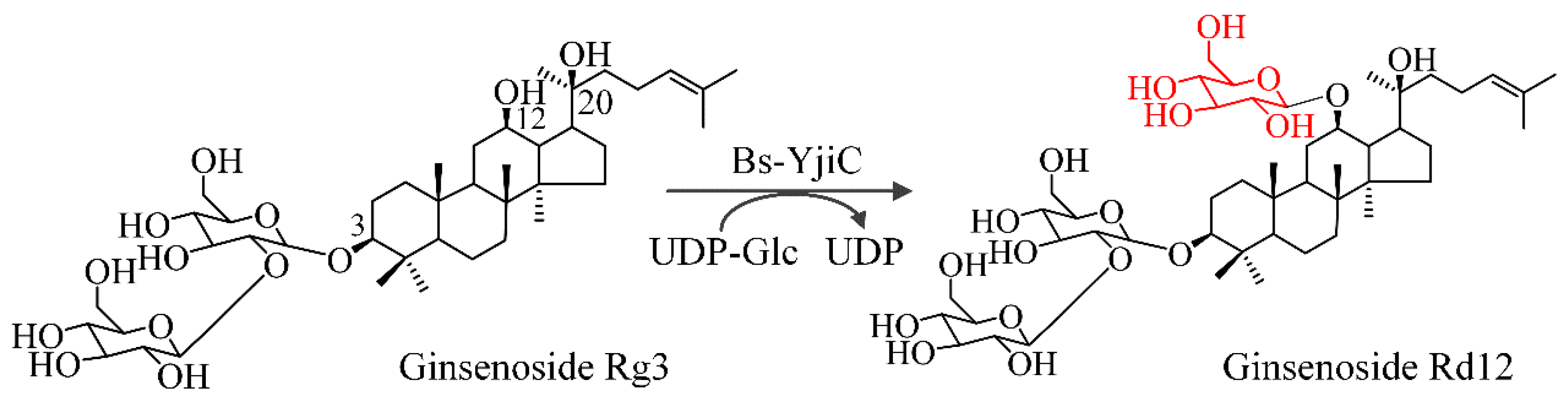 Catalysts 10 00289 g001 Catalysts 10 00289 g001
